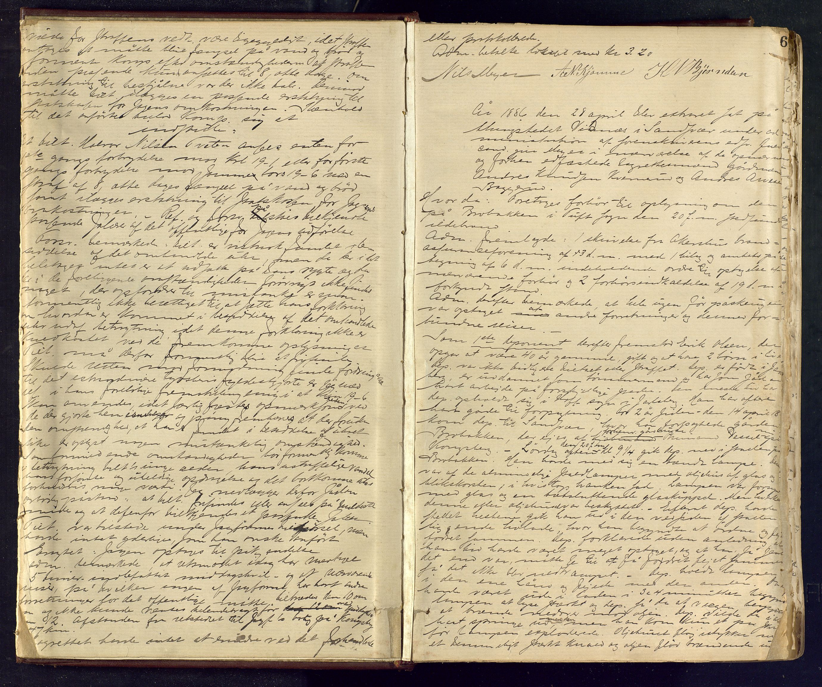 Numedal og Sandsvær sorenskriveri, AV/SAKO-A-128/F/Fc/Fca/L0013: Ekstrarettsprotokoll , 1886-1914, p. 6