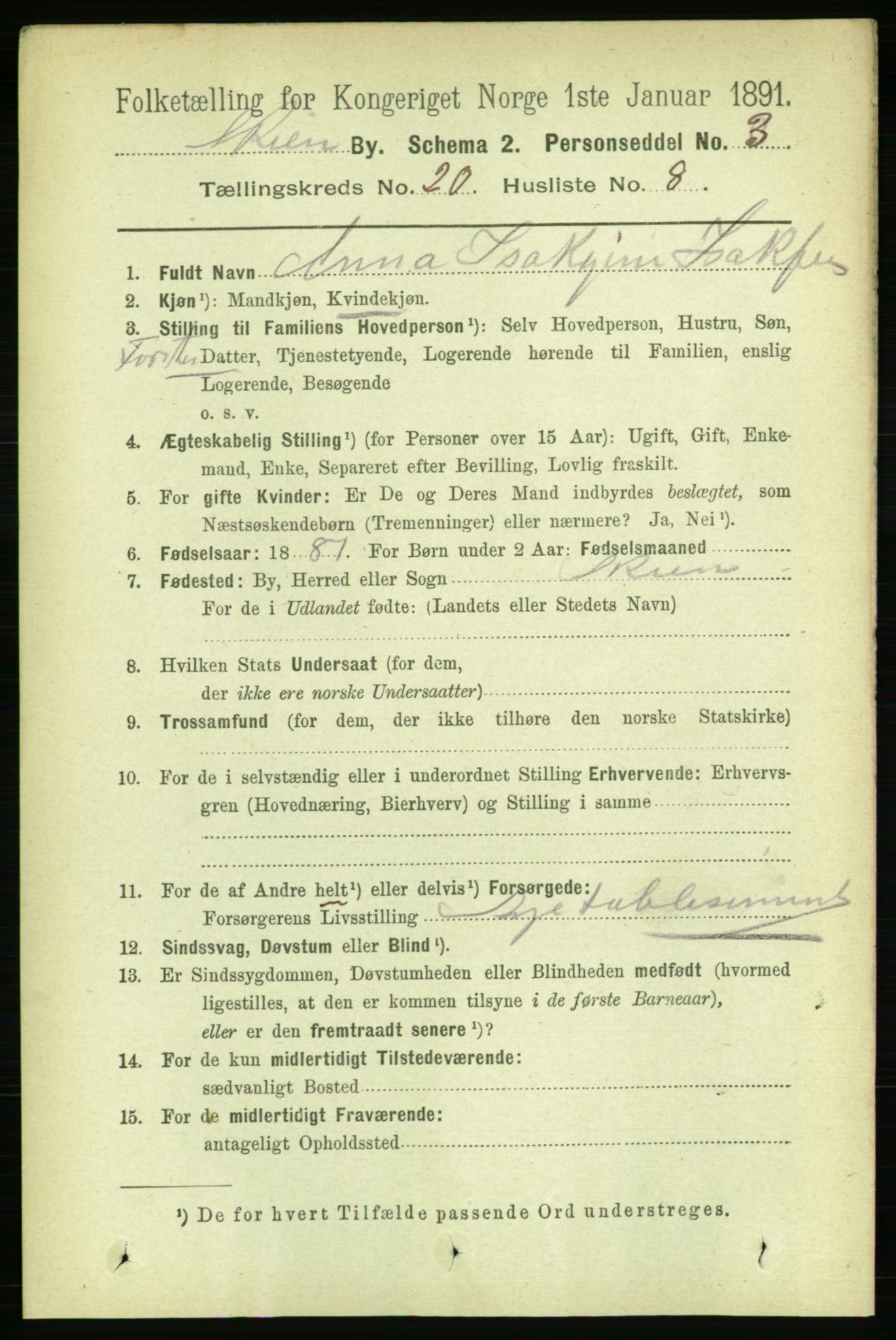 RA, 1891 census for 0806 Skien, 1891, p. 5179