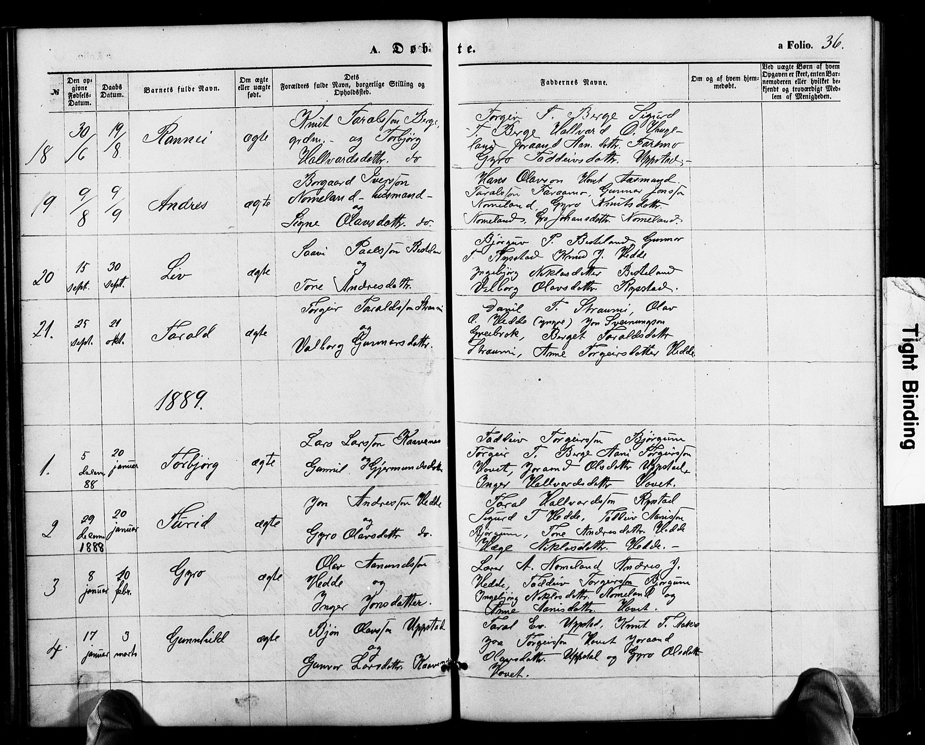 Valle sokneprestkontor, SAK/1111-0044/F/Fb/Fbb/L0002: Parish register (copy) no. B 2, 1875-1921, p. 36