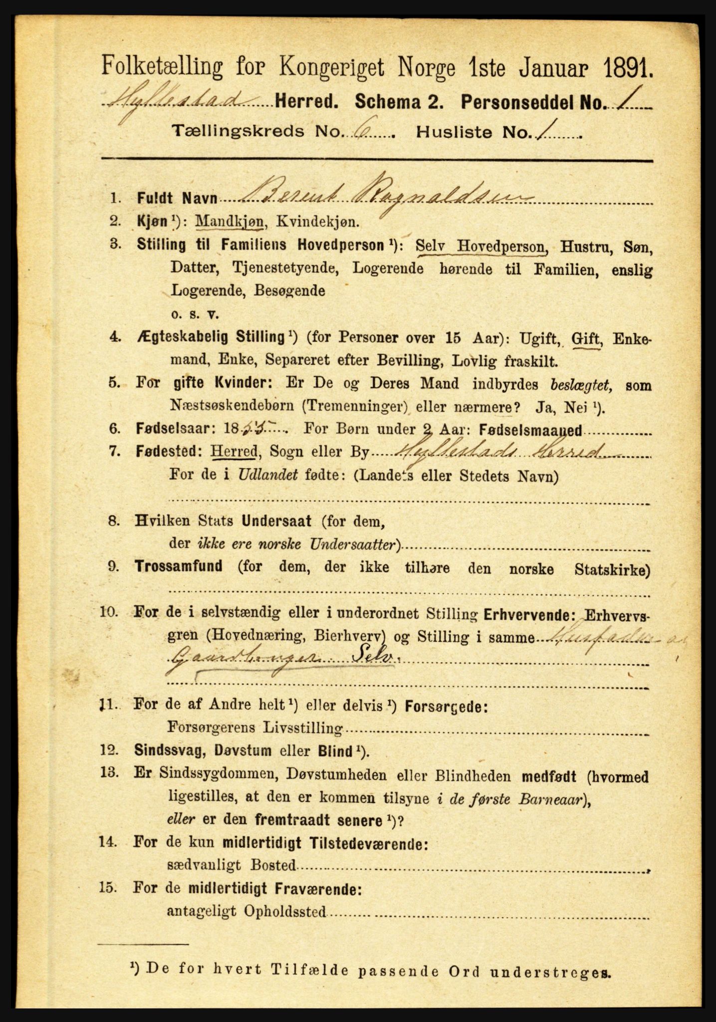 RA, 1891 census for 1413 Hyllestad, 1891, p. 1010