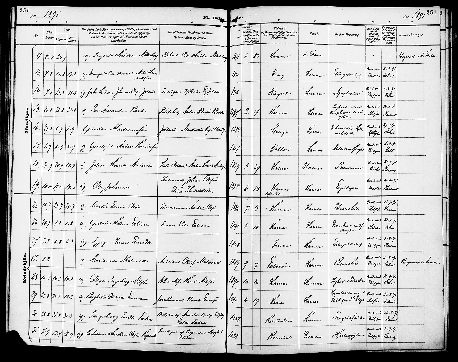 Vang prestekontor, Hedmark, SAH/PREST-008/H/Ha/Haa/L0017: Parish register (official) no. 17, 1890-1899, p. 251
