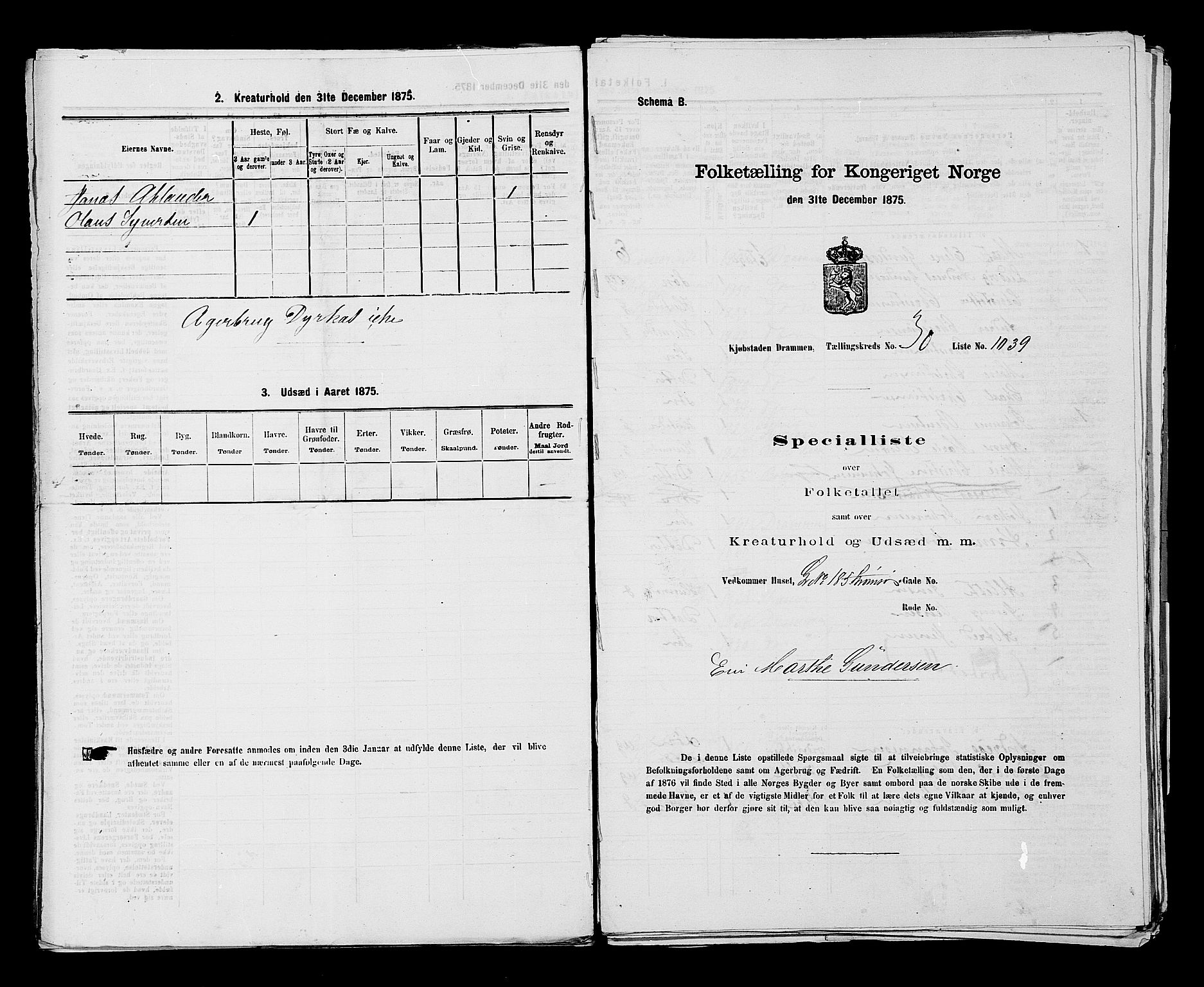 SAKO, 1875 census for 0602 Drammen, 1875, p. 2848