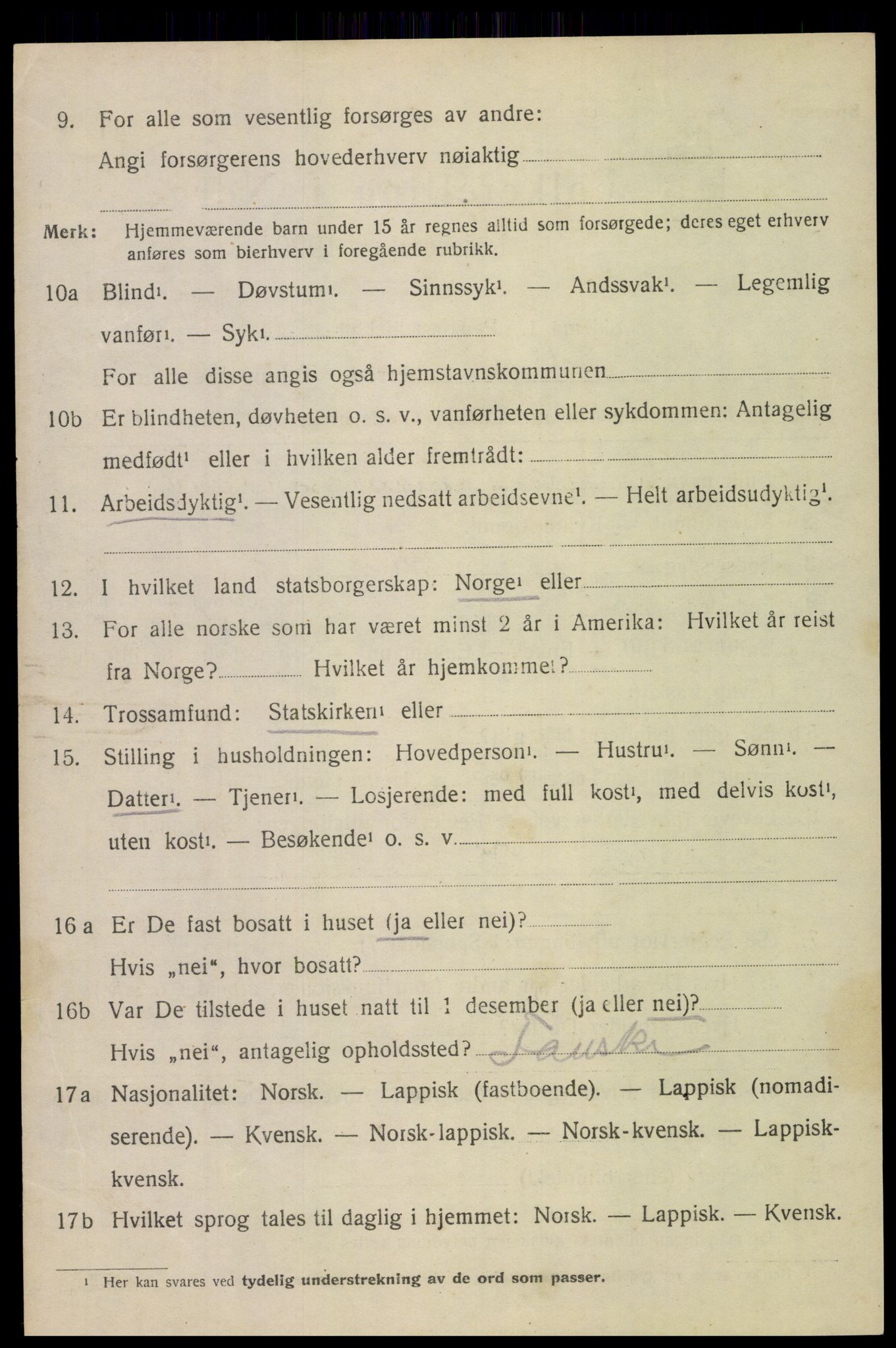 SAT, 1920 census for Bodin, 1920, p. 11491