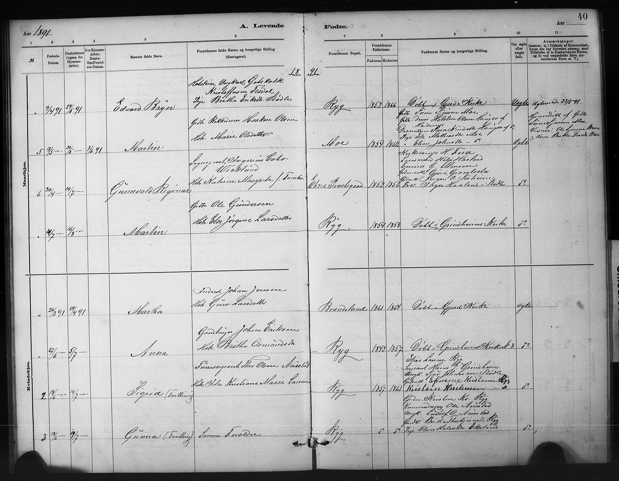 Etne sokneprestembete, SAB/A-75001/H/Hab: Parish register (copy) no. A 5, 1879-1896, p. 40