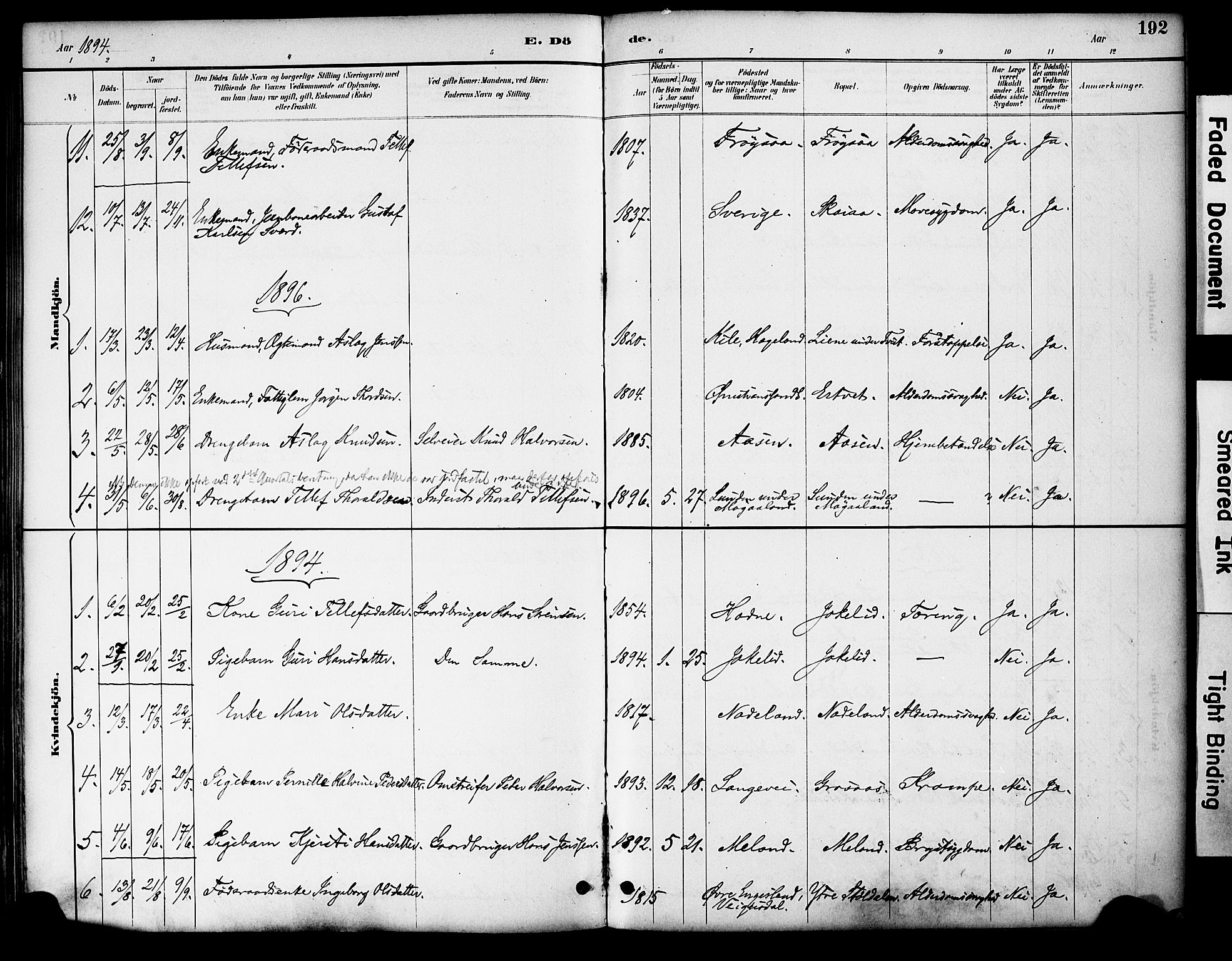 Evje sokneprestkontor, AV/SAK-1111-0008/F/Fa/Fac/L0003: Parish register (official) no. A 3, 1884-1909, p. 192