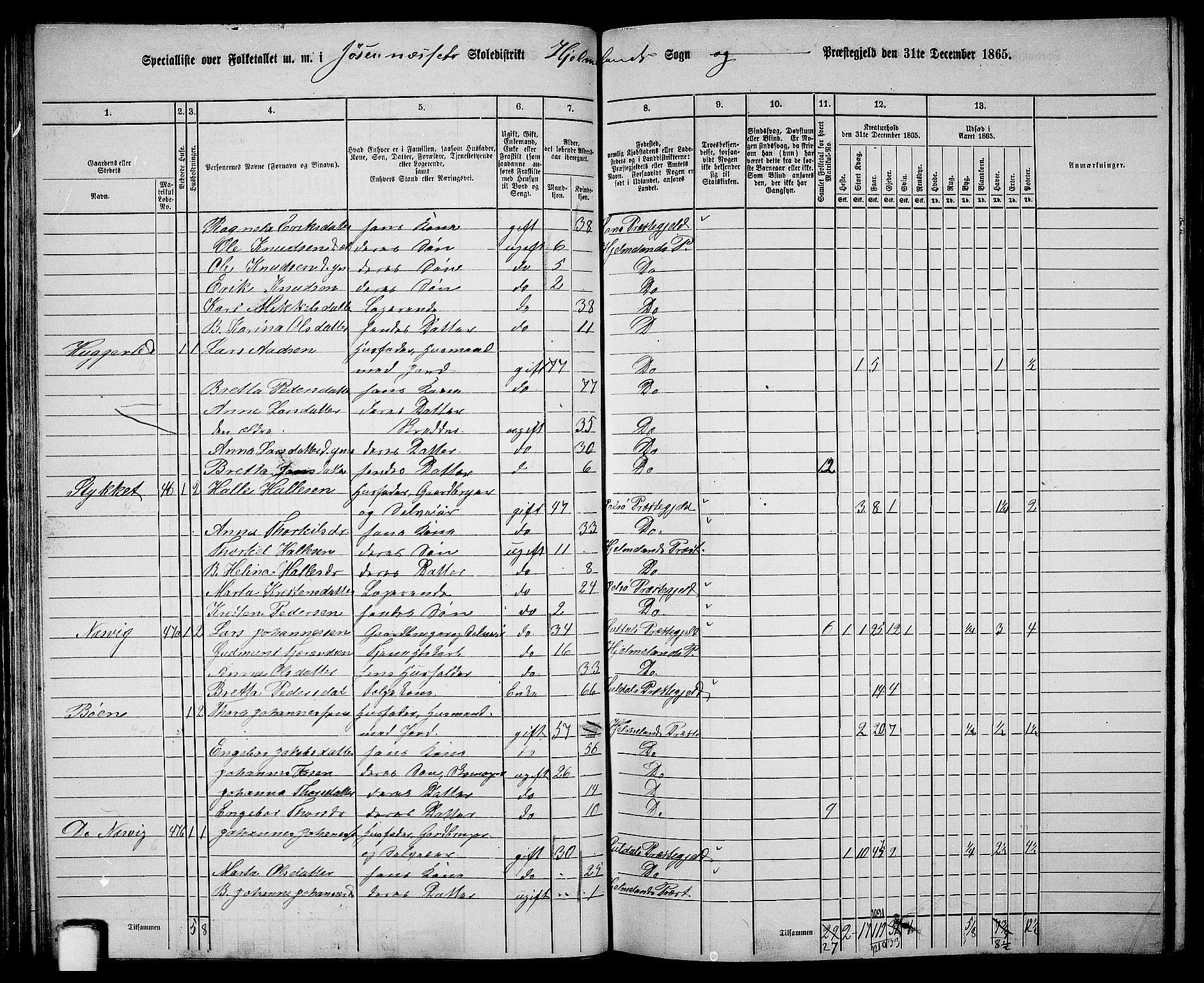 RA, 1865 census for Hjelmeland, 1865, p. 43