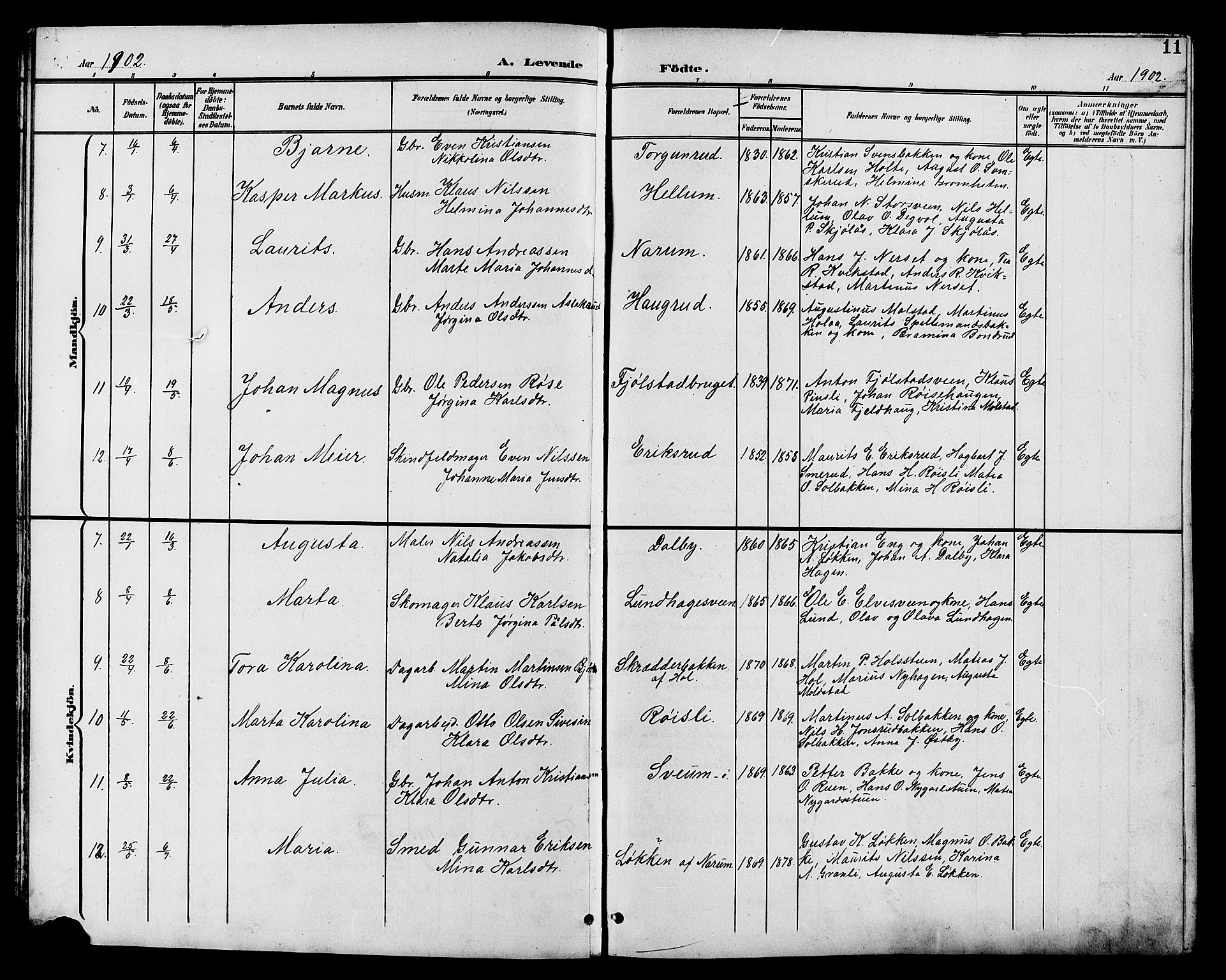 Vestre Toten prestekontor, SAH/PREST-108/H/Ha/Hab/L0011: Parish register (copy) no. 11, 1901-1911, p. 11