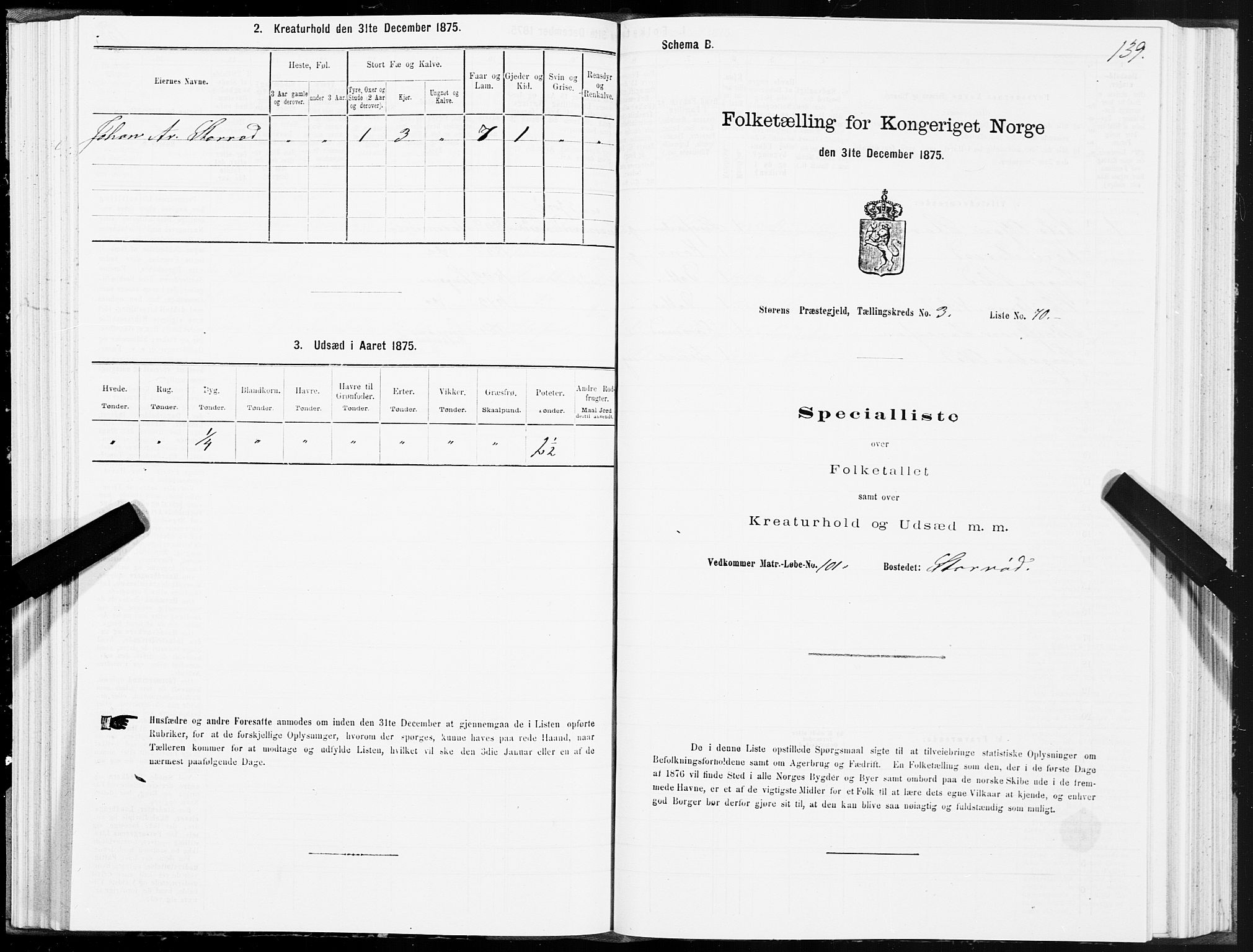 SAT, 1875 census for 1648P Støren, 1875, p. 2139