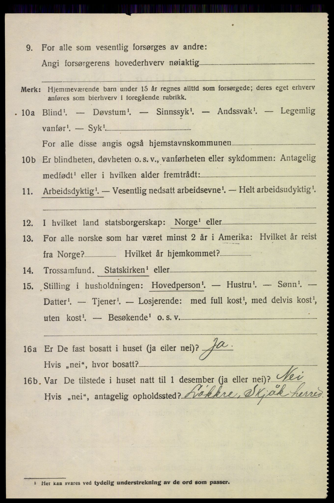 SAH, 1920 census for Skjåk, 1920, p. 2995