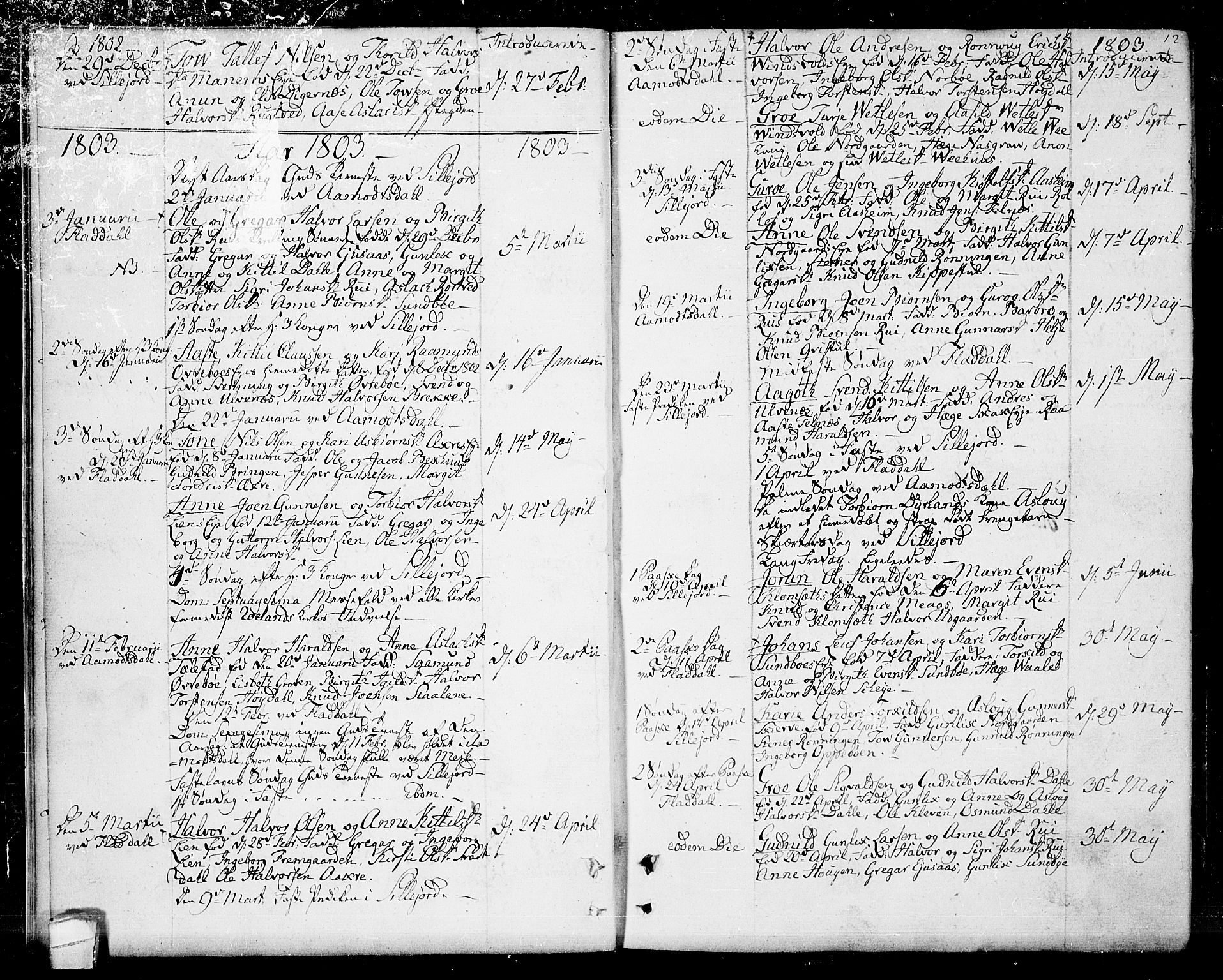 Seljord kirkebøker, SAKO/A-20/F/Fa/L0009: Parish register (official) no. I 9, 1801-1814, p. 12