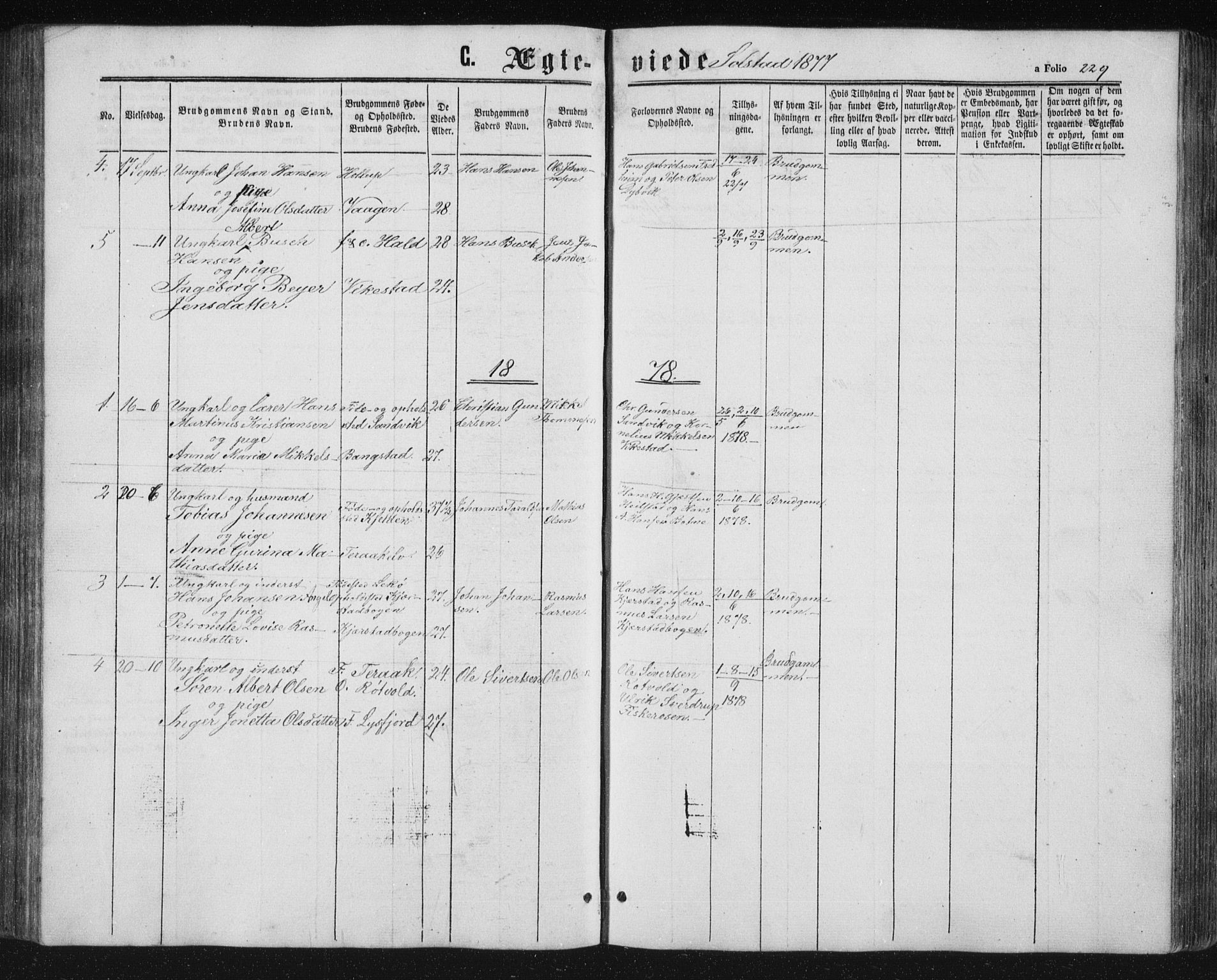Ministerialprotokoller, klokkerbøker og fødselsregistre - Nordland, SAT/A-1459/810/L0159: Parish register (copy) no. 810C02 /2, 1863-1883, p. 229