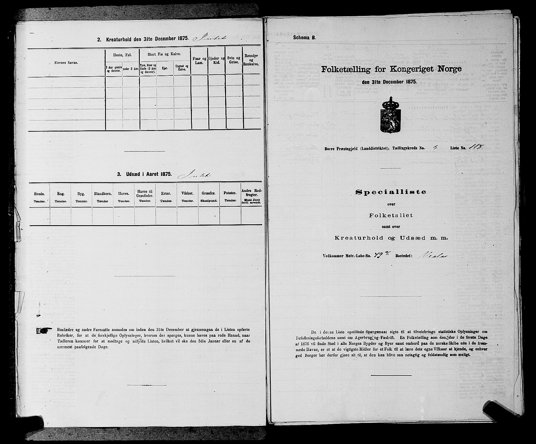 SAKO, 1875 census for 0717L Borre/Borre og Nykirke, 1875, p. 509