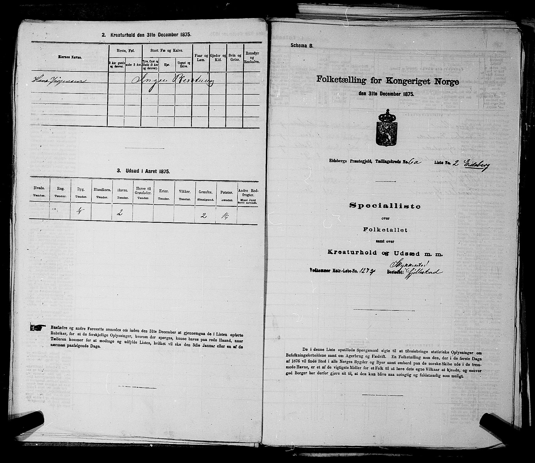 RA, 1875 census for 0125P Eidsberg, 1875, p. 1141