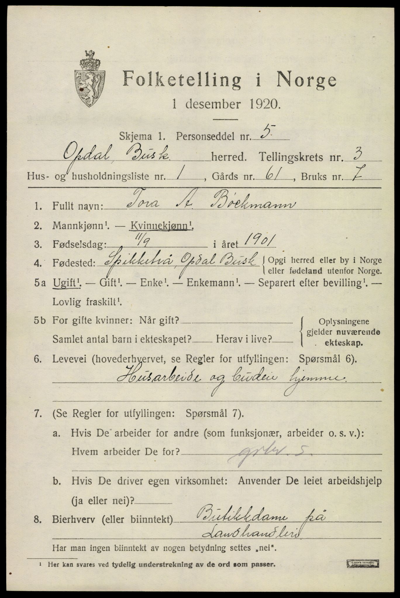 SAKO, 1920 census for Uvdal, 1920, p. 1299