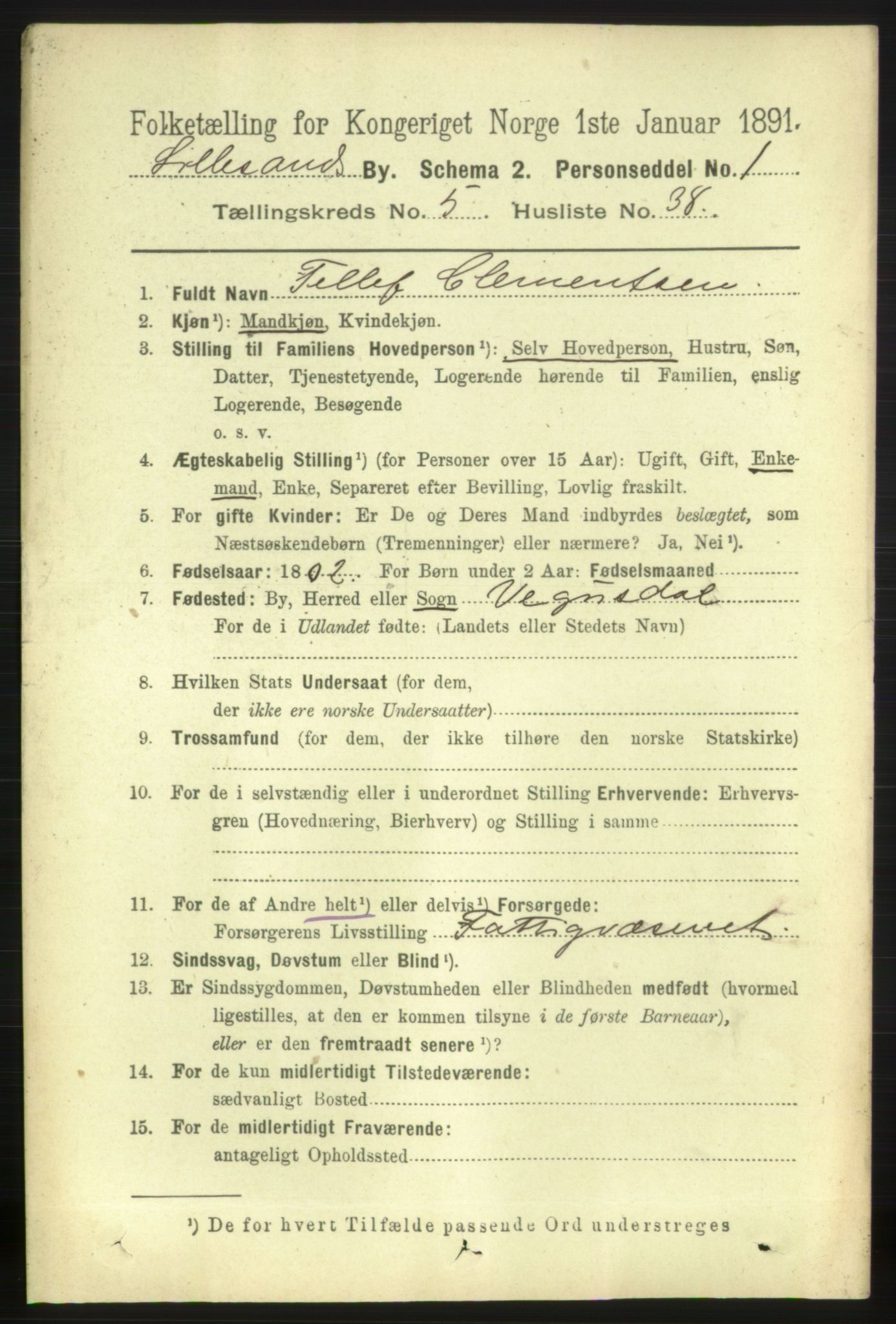 RA, 1891 census for 0905 Lillesand, 1891, p. 1613