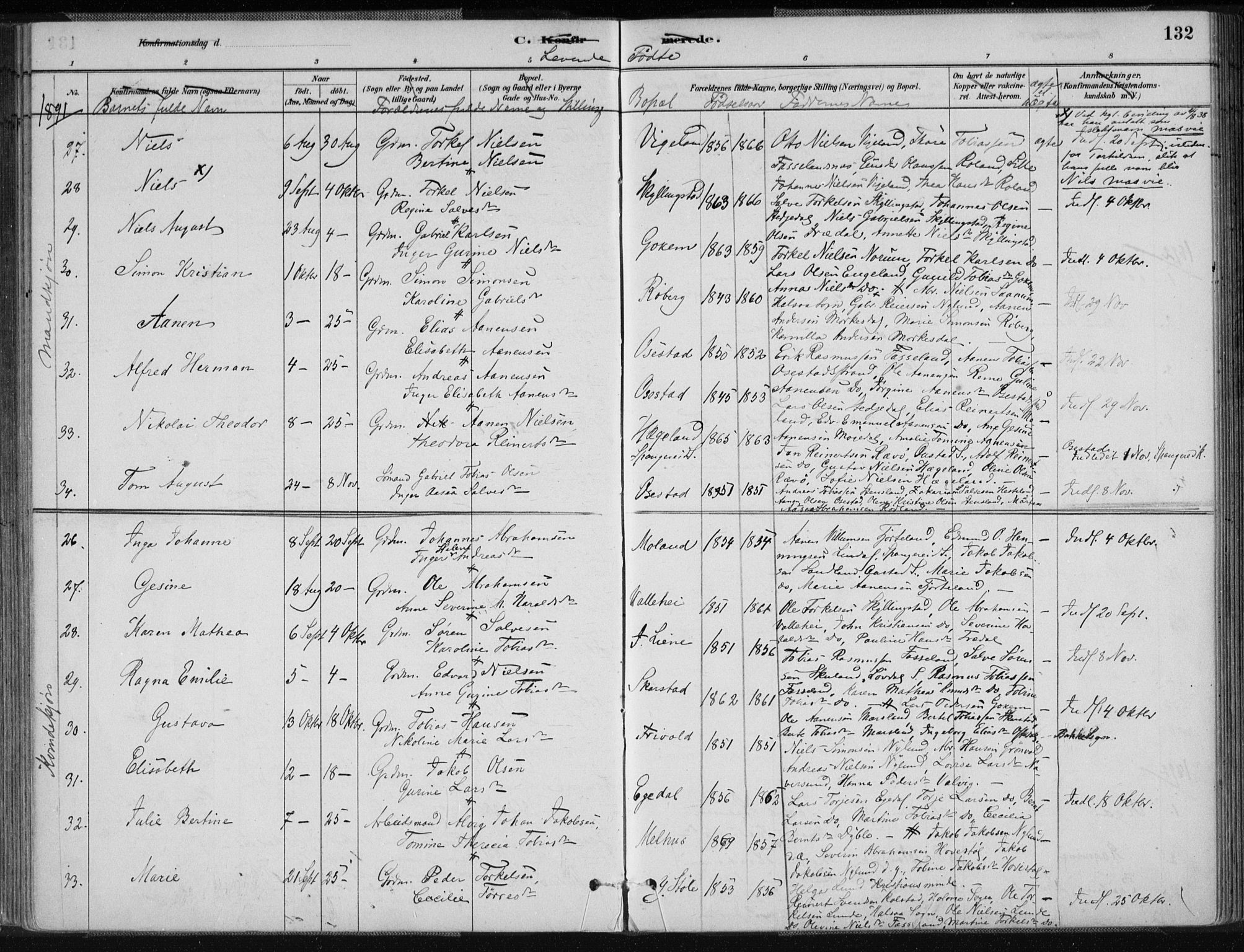 Sør-Audnedal sokneprestkontor, AV/SAK-1111-0039/F/Fa/Fab/L0009: Parish register (official) no. A 9, 1880-1895, p. 132