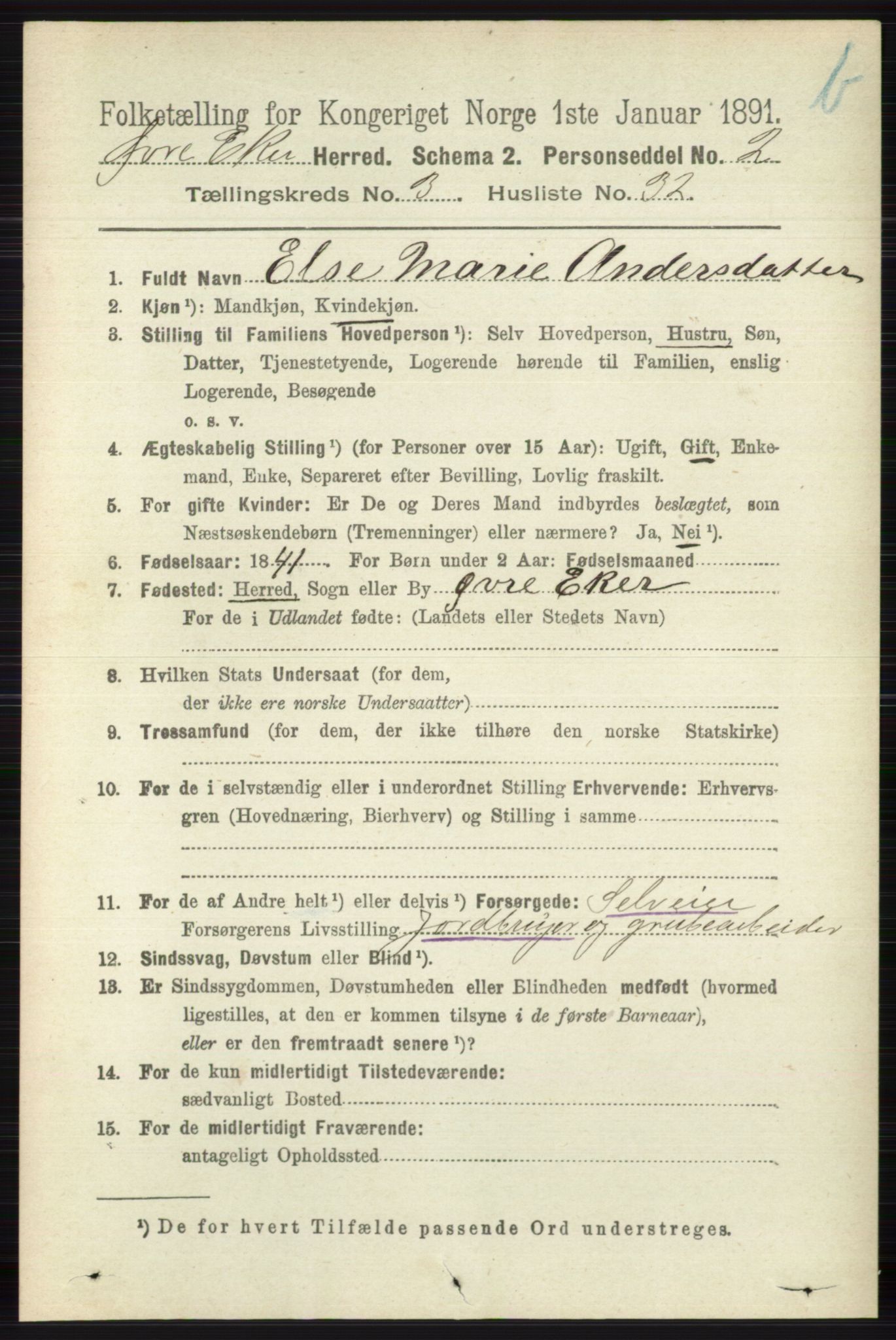 RA, 1891 census for 0624 Øvre Eiker, 1891, p. 9203