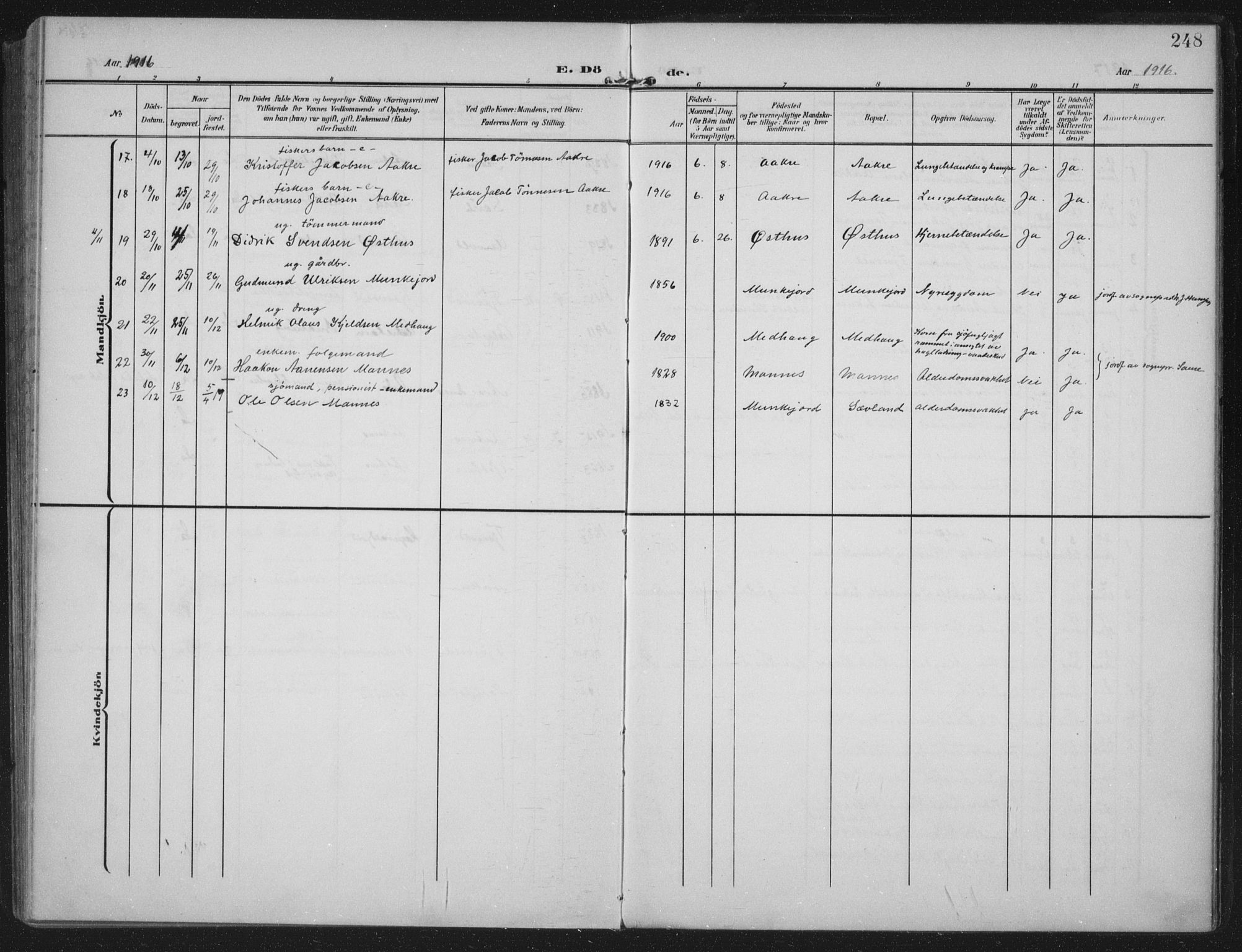 Kopervik sokneprestkontor, SAST/A-101850/H/Ha/Haa/L0005: Parish register (official) no. A 5, 1906-1924, p. 248