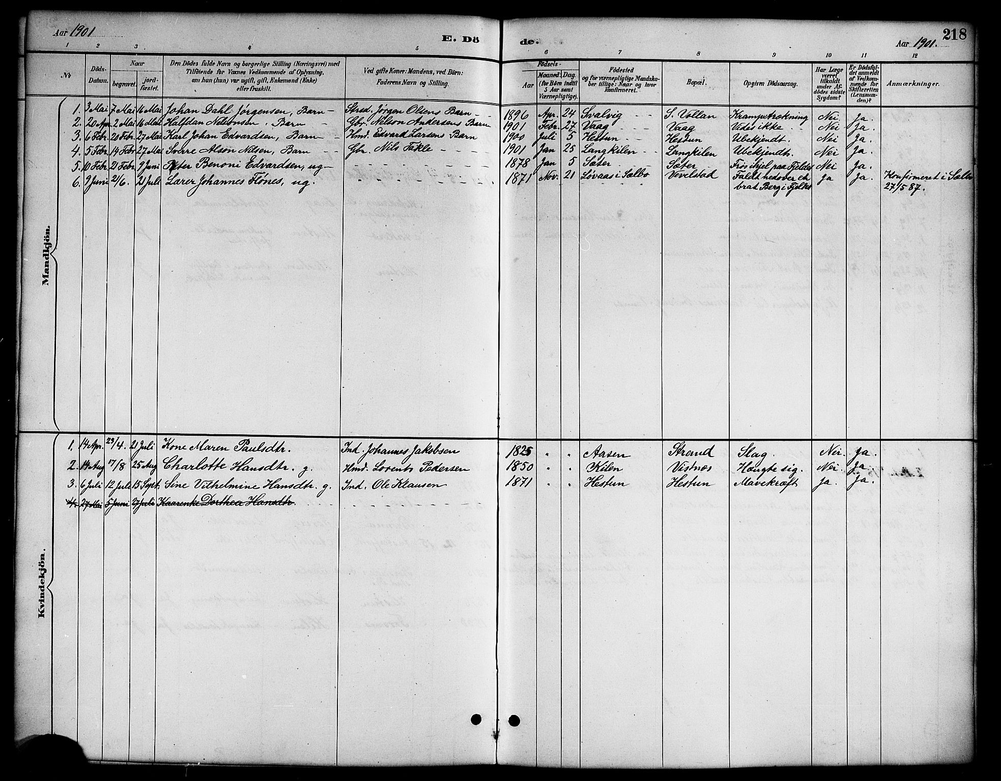 Ministerialprotokoller, klokkerbøker og fødselsregistre - Nordland, AV/SAT-A-1459/819/L0277: Parish register (copy) no. 819C03, 1888-1917, p. 218