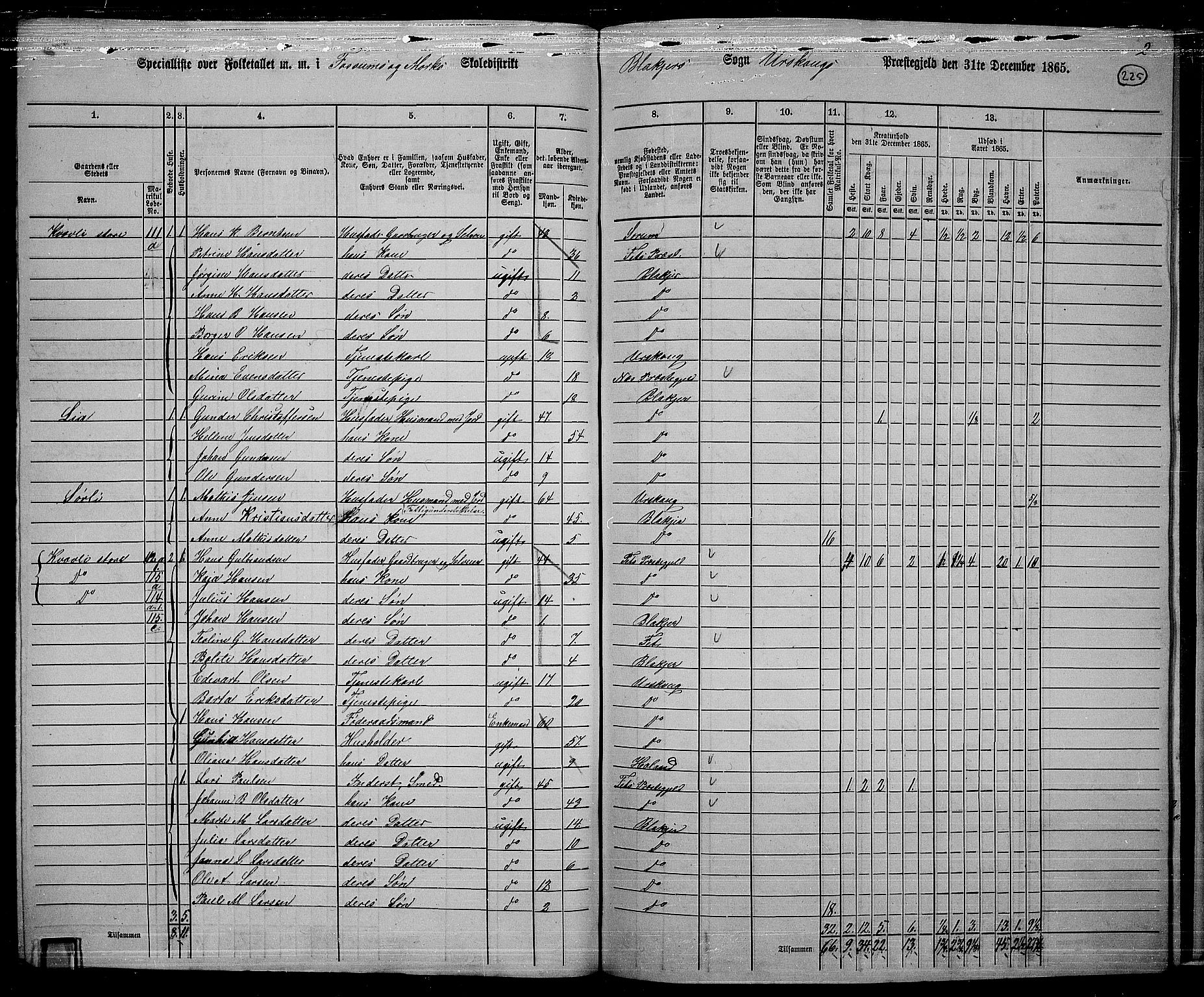 RA, 1865 census for Aurskog, 1865, p. 203