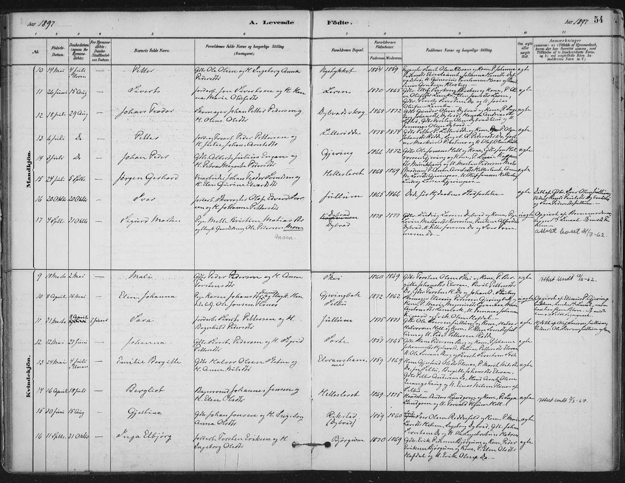 Ministerialprotokoller, klokkerbøker og fødselsregistre - Nord-Trøndelag, AV/SAT-A-1458/710/L0095: Parish register (official) no. 710A01, 1880-1914, p. 54