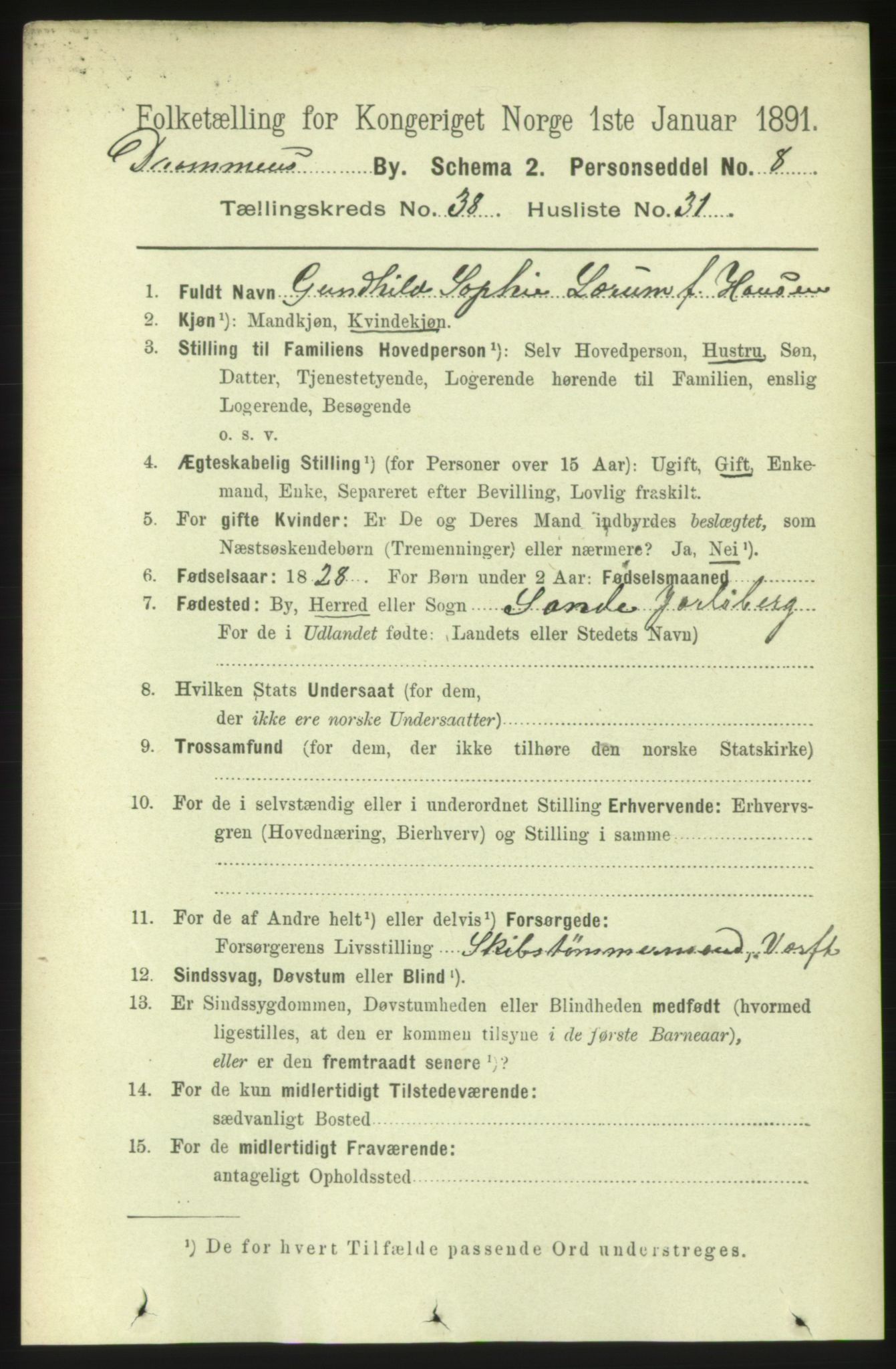 RA, 1891 census for 0602 Drammen, 1891, p. 23246