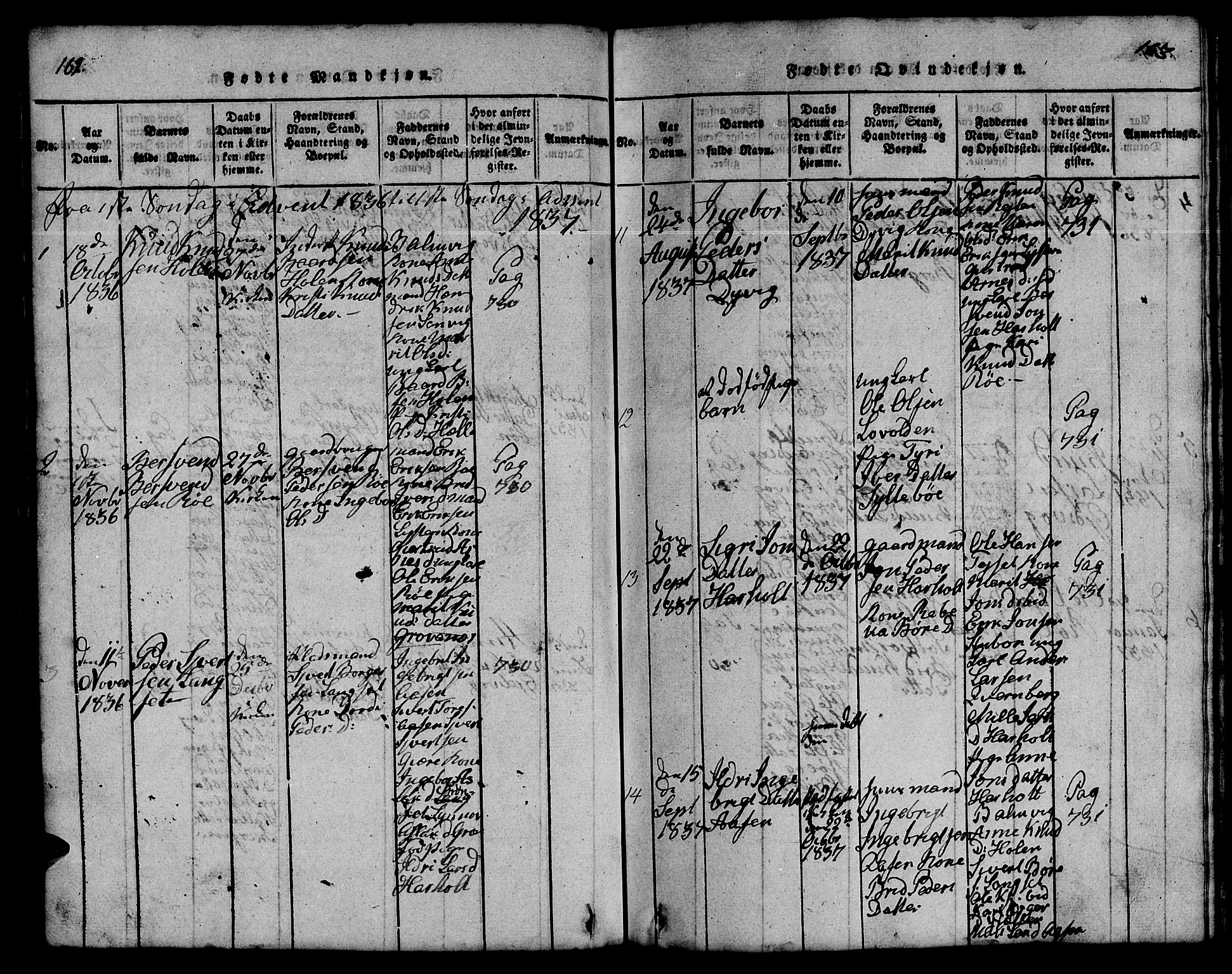 Ministerialprotokoller, klokkerbøker og fødselsregistre - Møre og Romsdal, AV/SAT-A-1454/551/L0629: Parish register (copy) no. 551C01, 1818-1839, p. 162-163