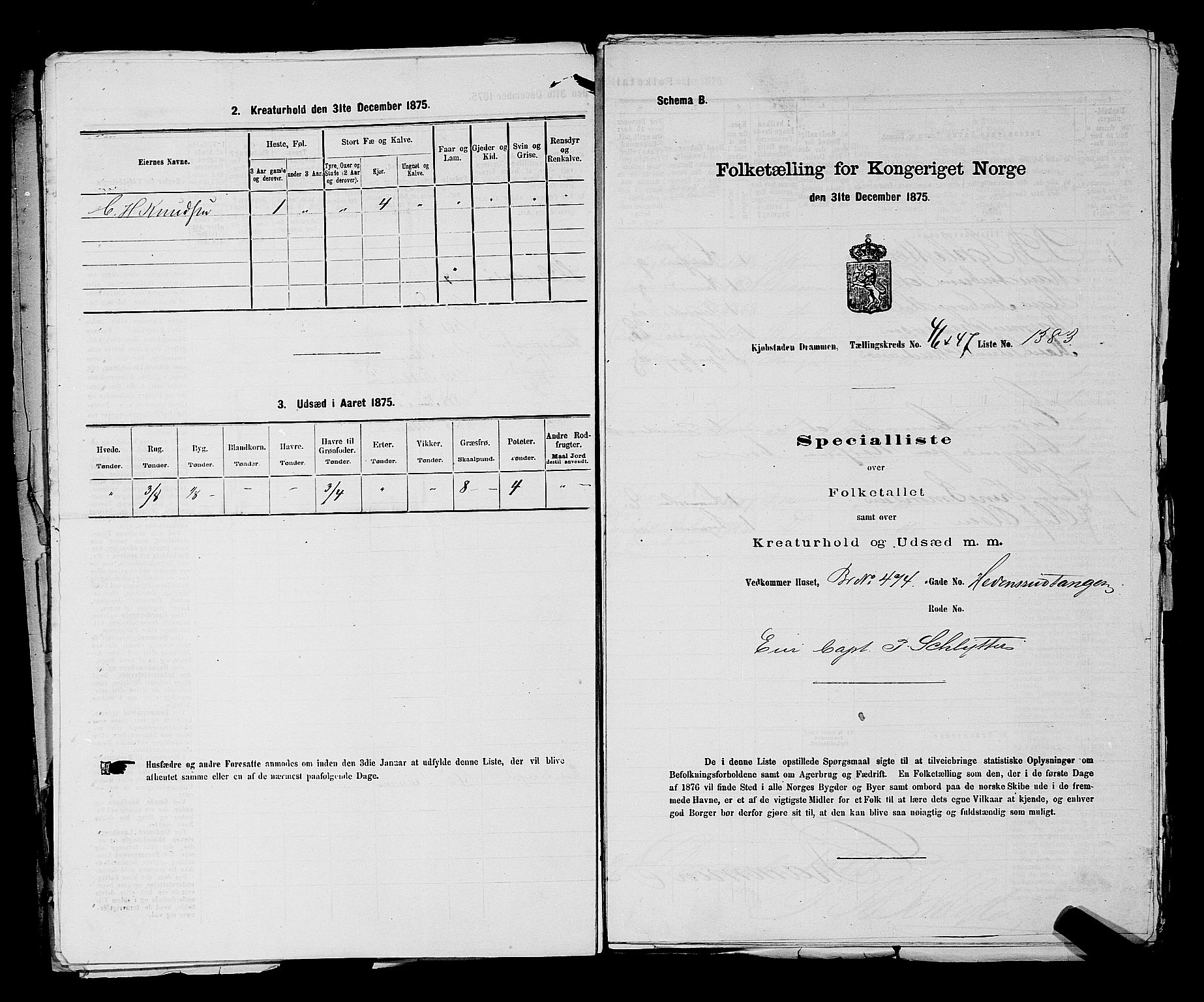 SAKO, 1875 census for 0602 Drammen, 1875, p. 3708