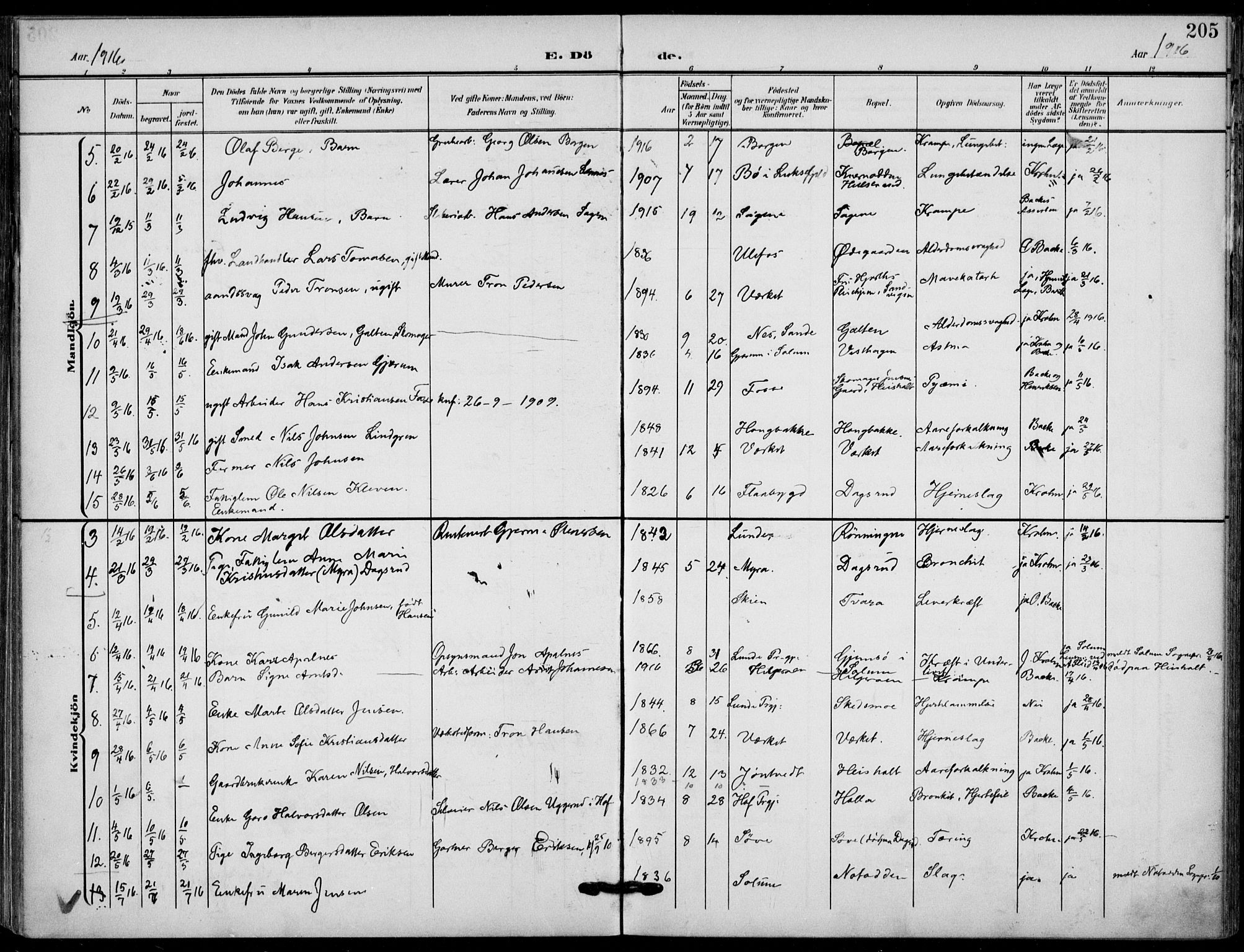 Holla kirkebøker, AV/SAKO-A-272/F/Fa/L0012: Parish register (official) no. 12, 1907-1923, p. 205