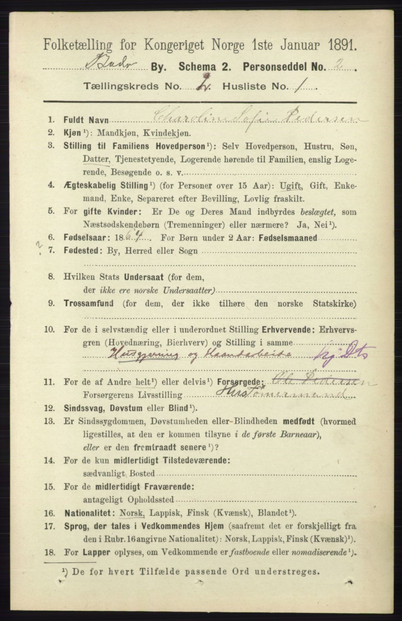 RA, 1891 census for 1804 Bodø, 1891, p. 990