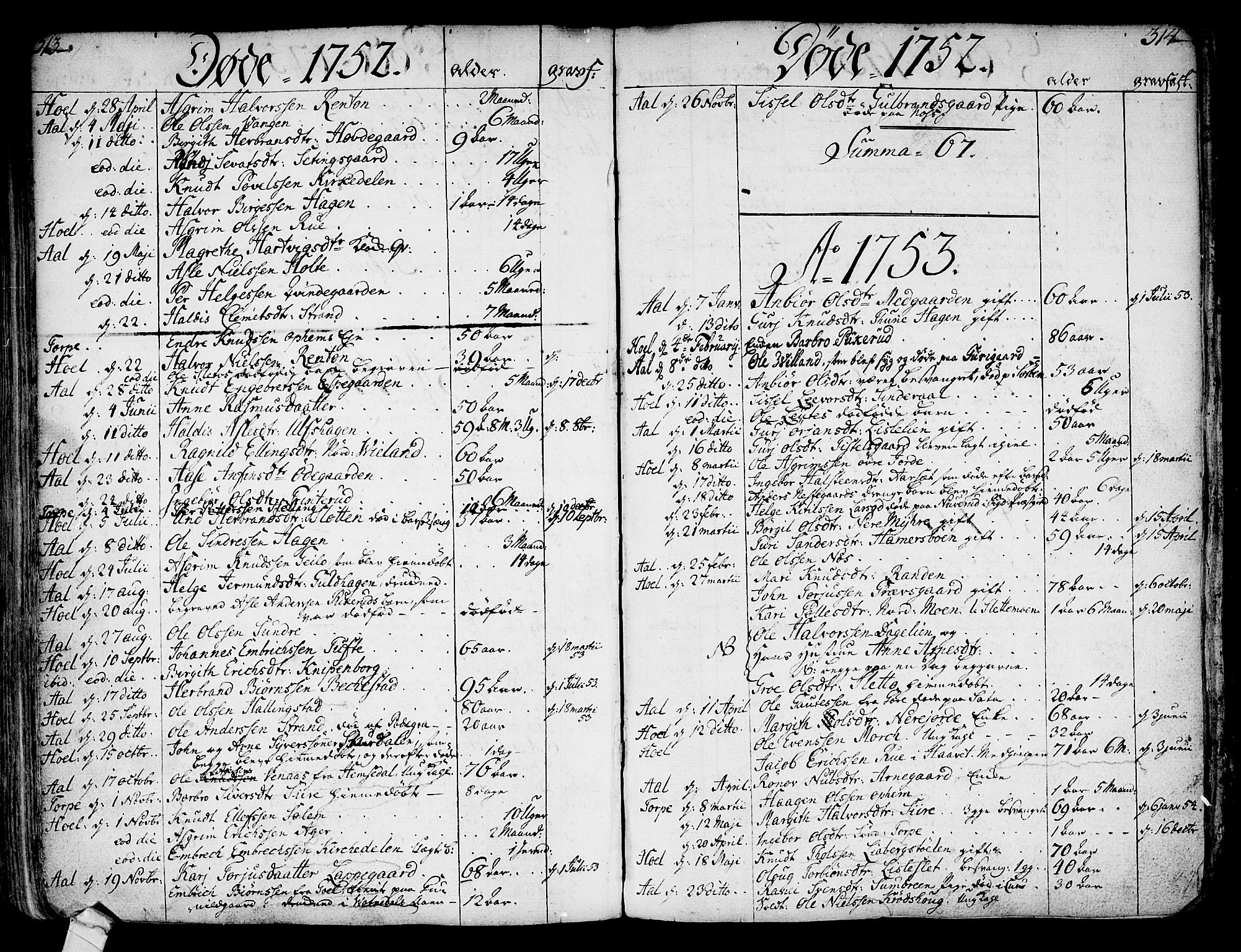Ål kirkebøker, SAKO/A-249/F/Fa/L0001: Parish register (official) no. I 1, 1744-1769, p. 313-314