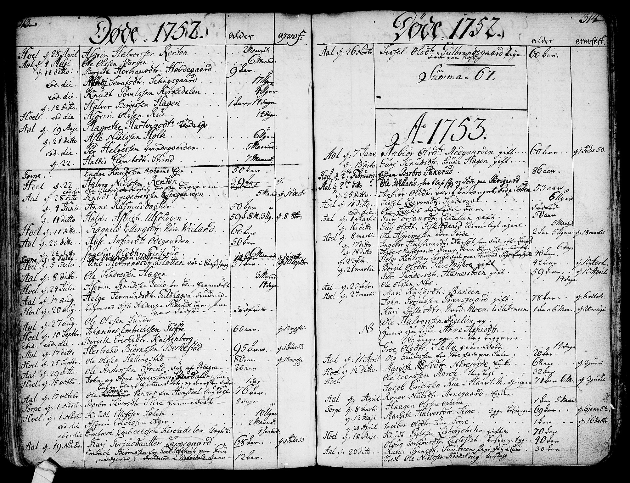 Ål kirkebøker, AV/SAKO-A-249/F/Fa/L0001: Parish register (official) no. I 1, 1744-1769, p. 313-314