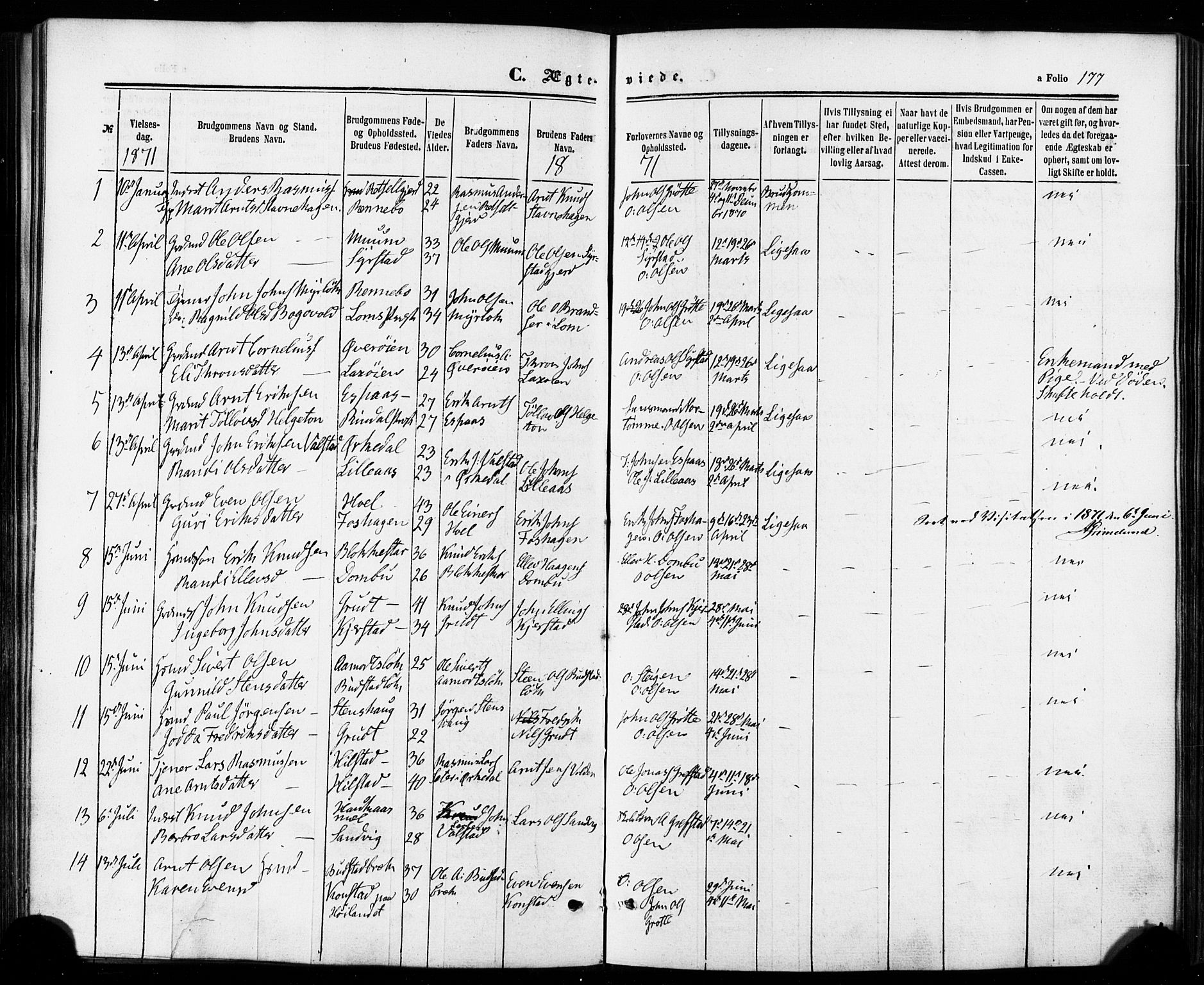 Ministerialprotokoller, klokkerbøker og fødselsregistre - Sør-Trøndelag, SAT/A-1456/672/L0856: Parish register (official) no. 672A08, 1861-1881, p. 177