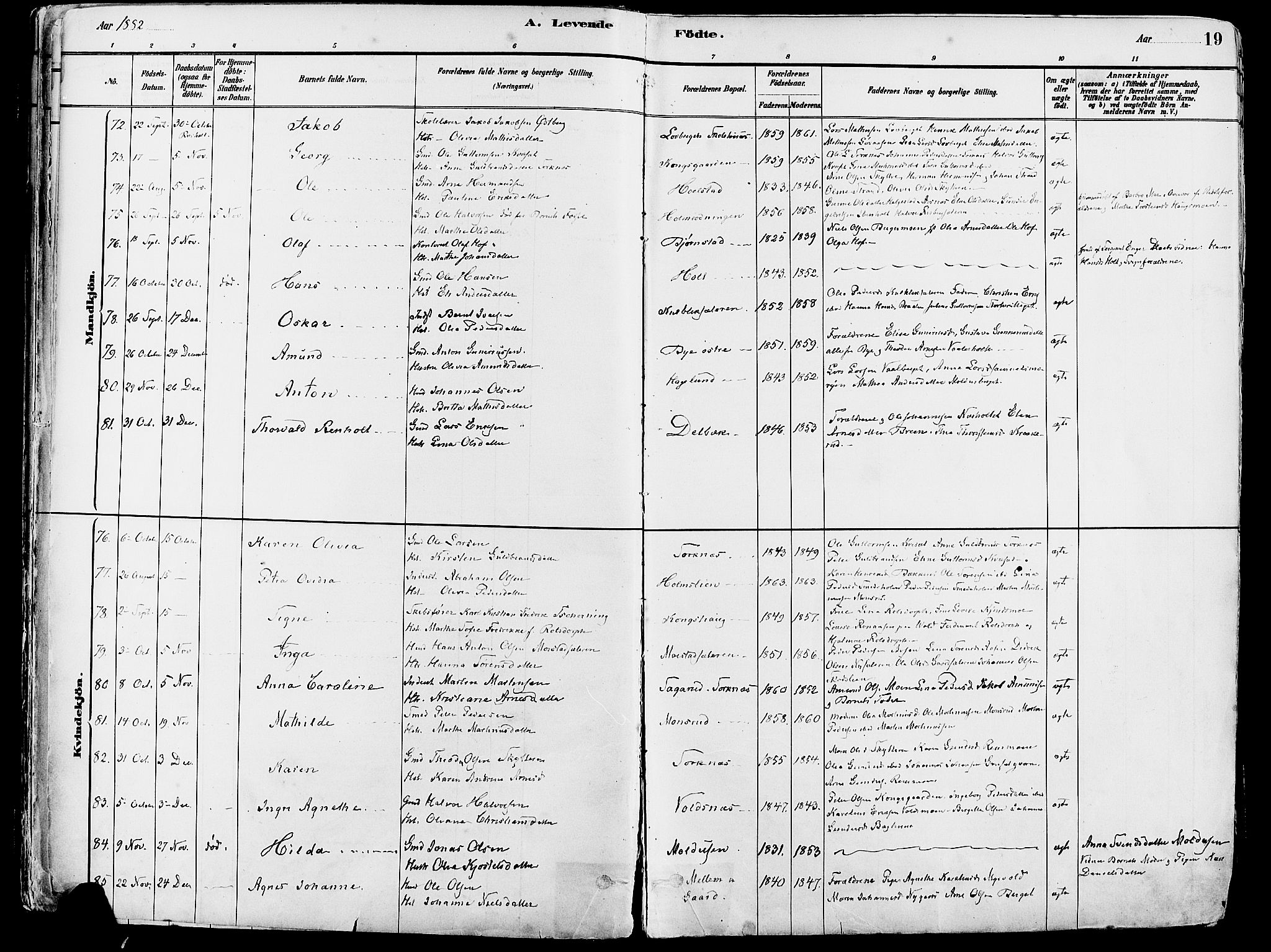 Grue prestekontor, SAH/PREST-036/H/Ha/Haa/L0012: Parish register (official) no. 12, 1881-1897, p. 19