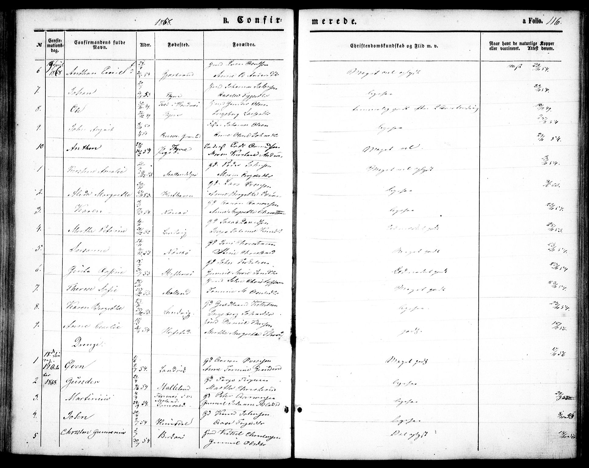 Hommedal sokneprestkontor, AV/SAK-1111-0023/F/Fa/Fab/L0005: Parish register (official) no. A 5, 1861-1877, p. 116