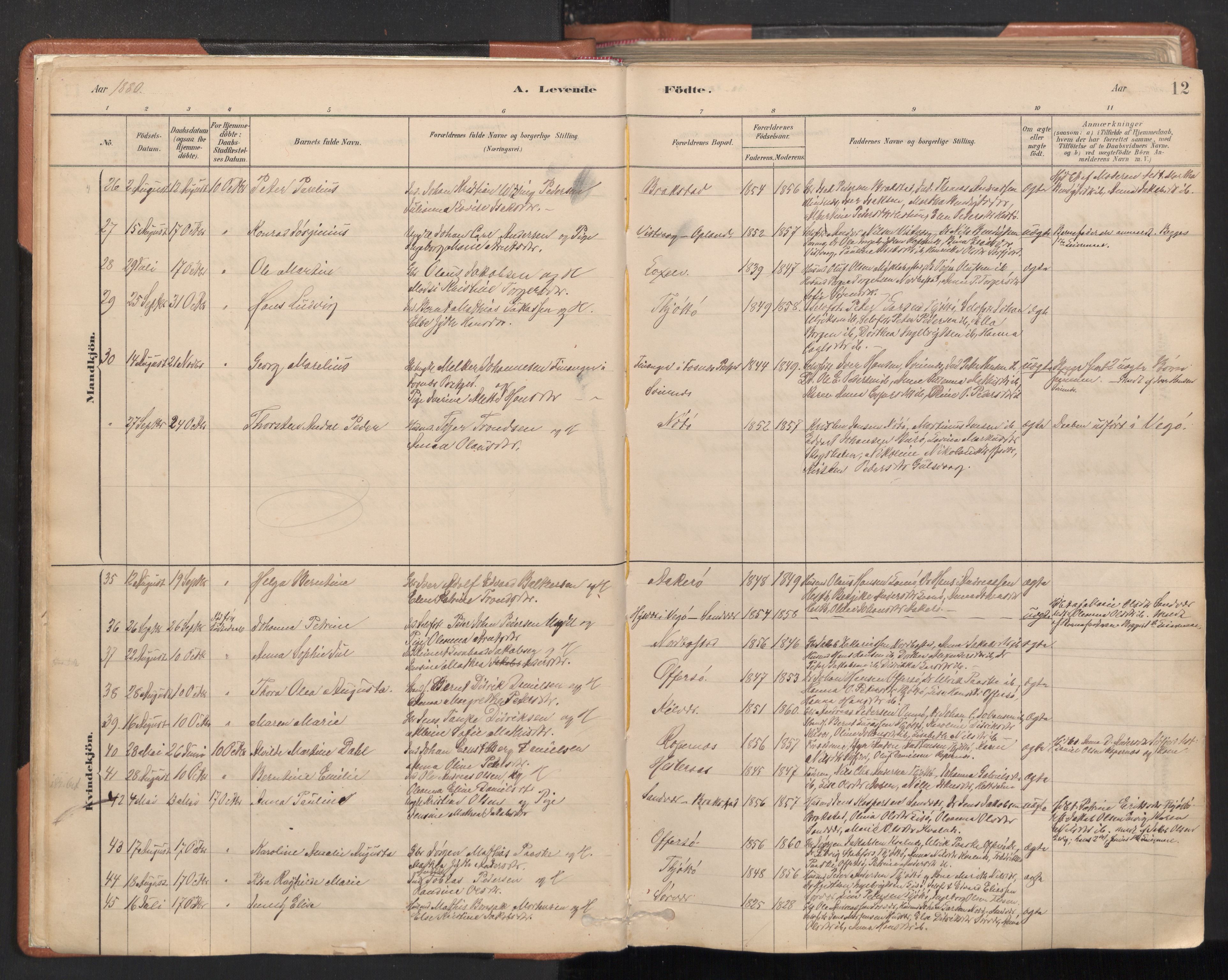 Ministerialprotokoller, klokkerbøker og fødselsregistre - Nordland, SAT/A-1459/817/L0264: Parish register (official) no. 817A04, 1878-1907, p. 12