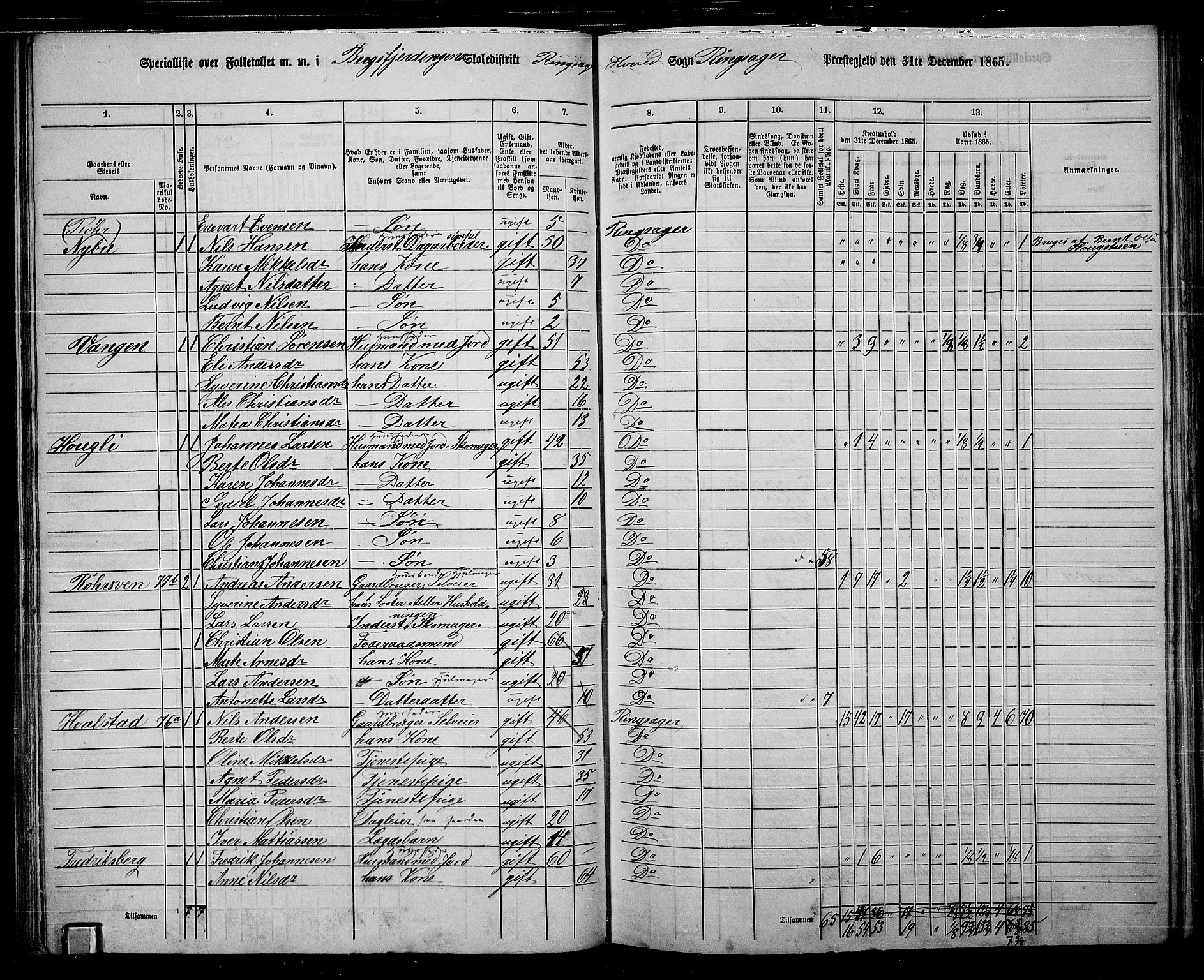 RA, 1865 census for Ringsaker, 1865, p. 91