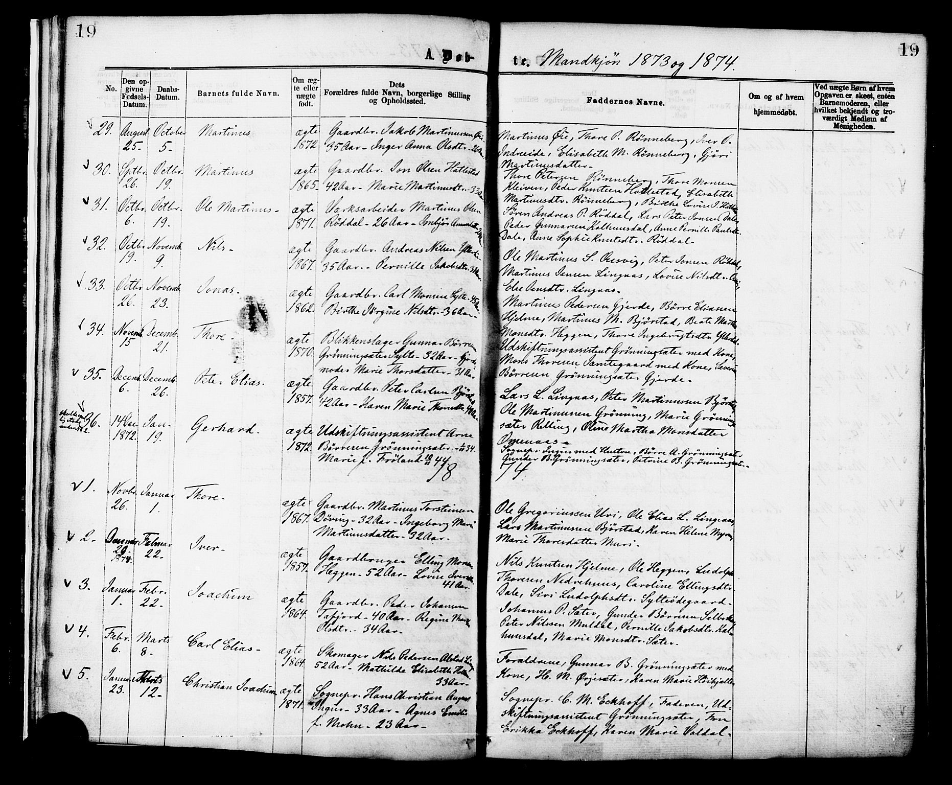 Ministerialprotokoller, klokkerbøker og fødselsregistre - Møre og Romsdal, AV/SAT-A-1454/519/L0254: Parish register (official) no. 519A13, 1868-1883, p. 19