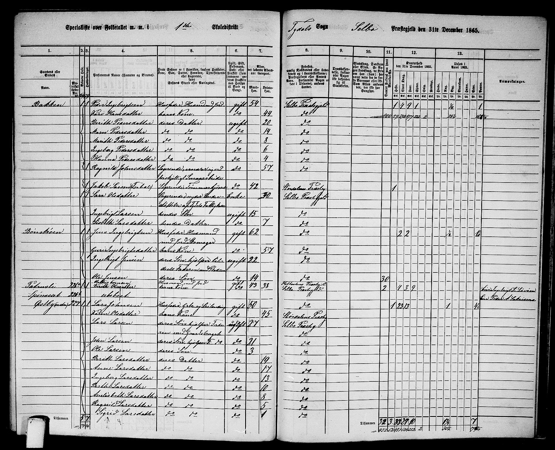 RA, 1865 census for Selbu, 1865, p. 238