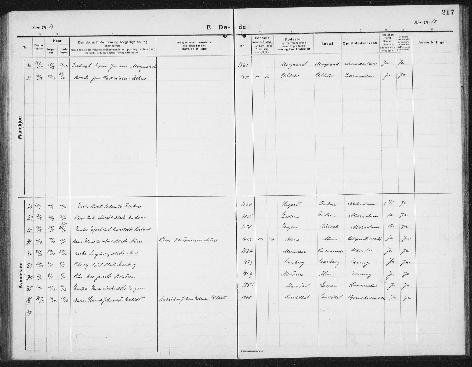 Ministerialprotokoller, klokkerbøker og fødselsregistre - Sør-Trøndelag, SAT/A-1456/695/L1158: Parish register (copy) no. 695C09, 1913-1940, p. 217