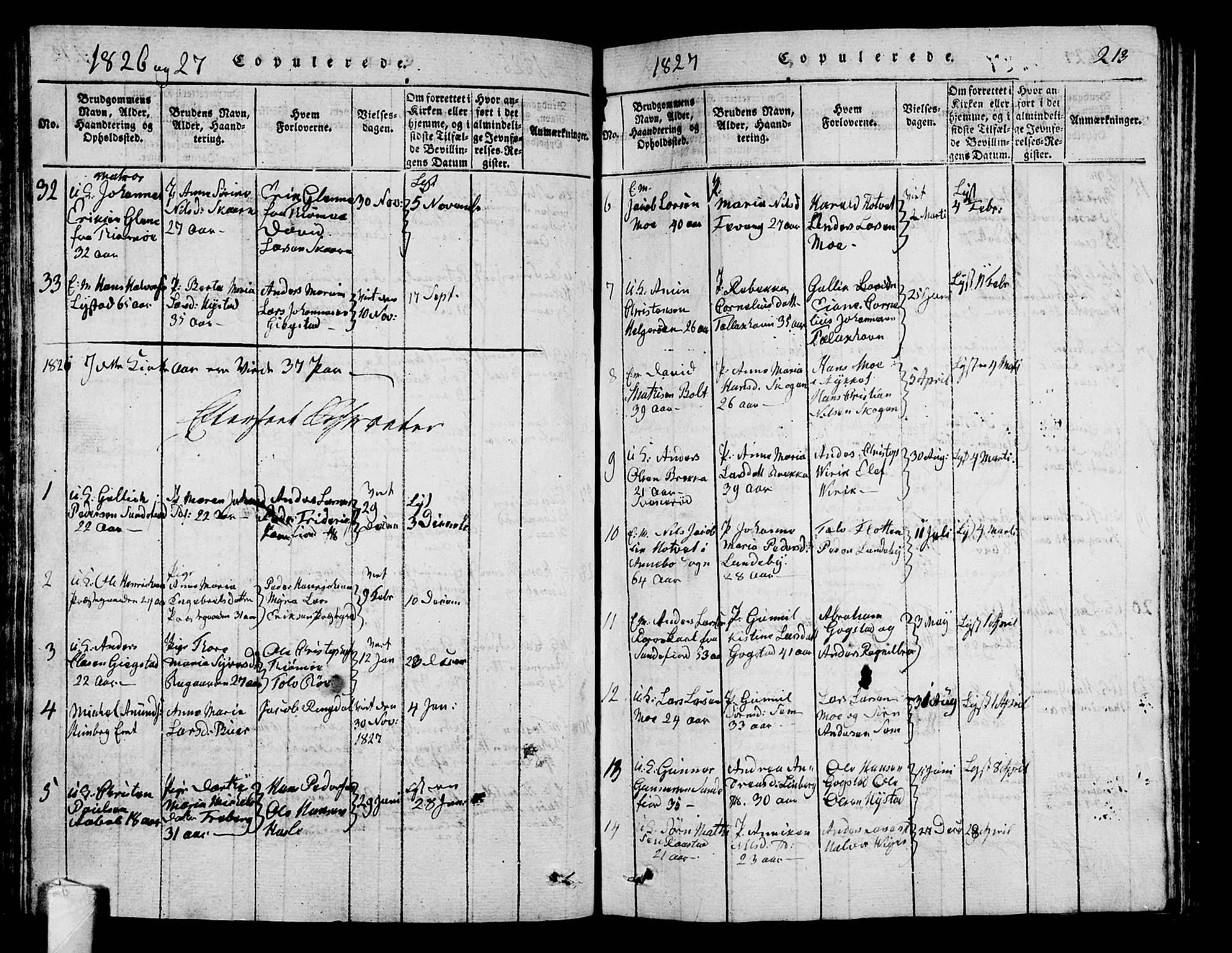 Sandar kirkebøker, SAKO/A-243/G/Ga/L0001: Parish register (copy) no. 1, 1814-1835, p. 213