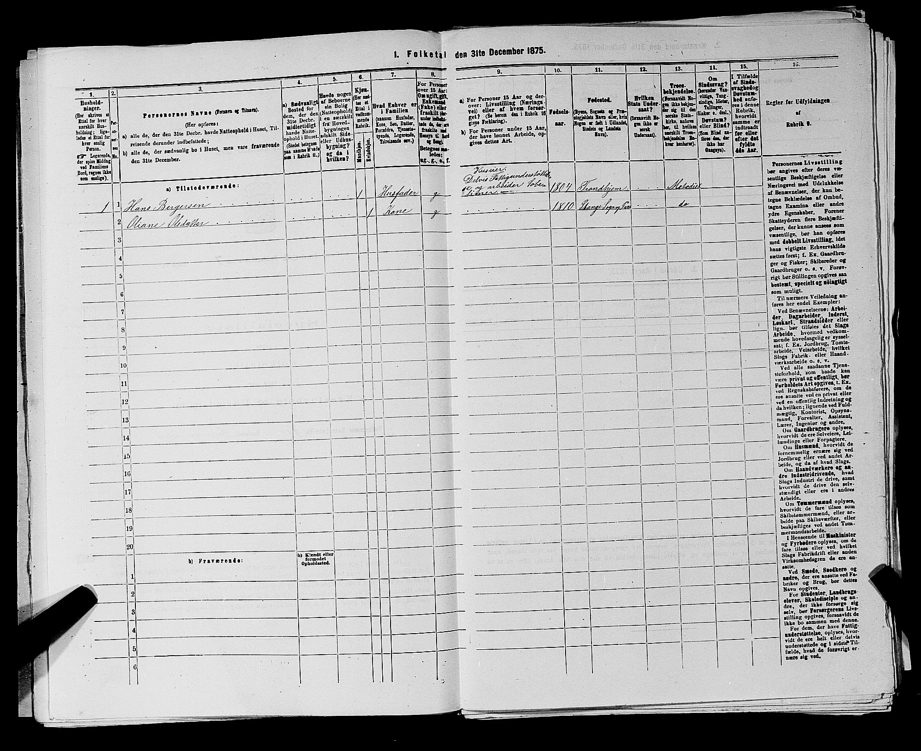 RA, 1875 census for 0113P Borge, 1875, p. 970