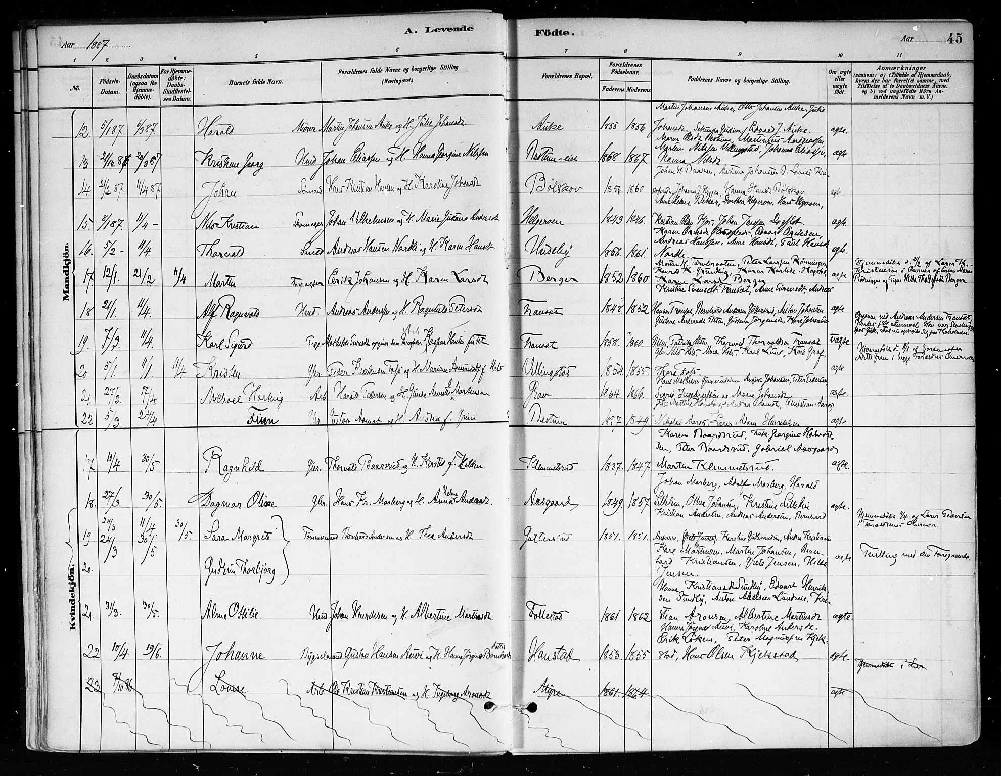 Røyken kirkebøker, AV/SAKO-A-241/F/Fa/L0008: Parish register (official) no. 8, 1880-1897, p. 45