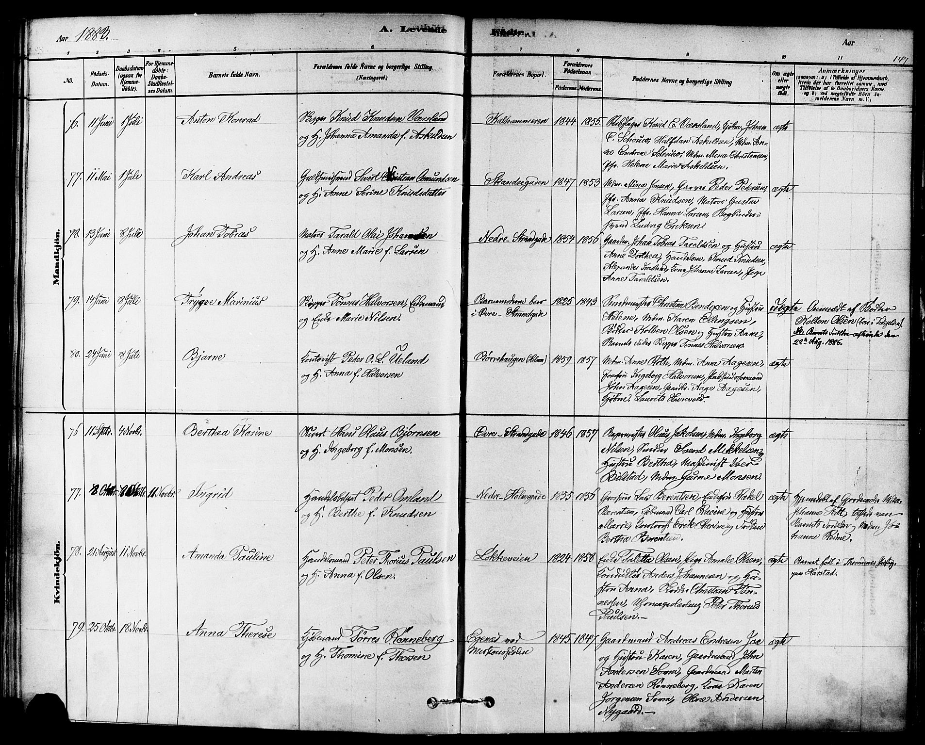 Domkirken sokneprestkontor, SAST/A-101812/001/30/30BA/L0026: Parish register (official) no. A 25, 1878-1889, p. 147