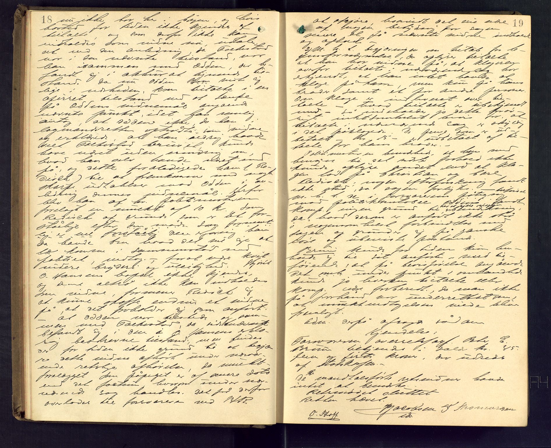 Skien byfogd, AV/SAKO-A-219/F/Fb/L0010: Forhørsprotokoll, 1893-1894, p. 18-19