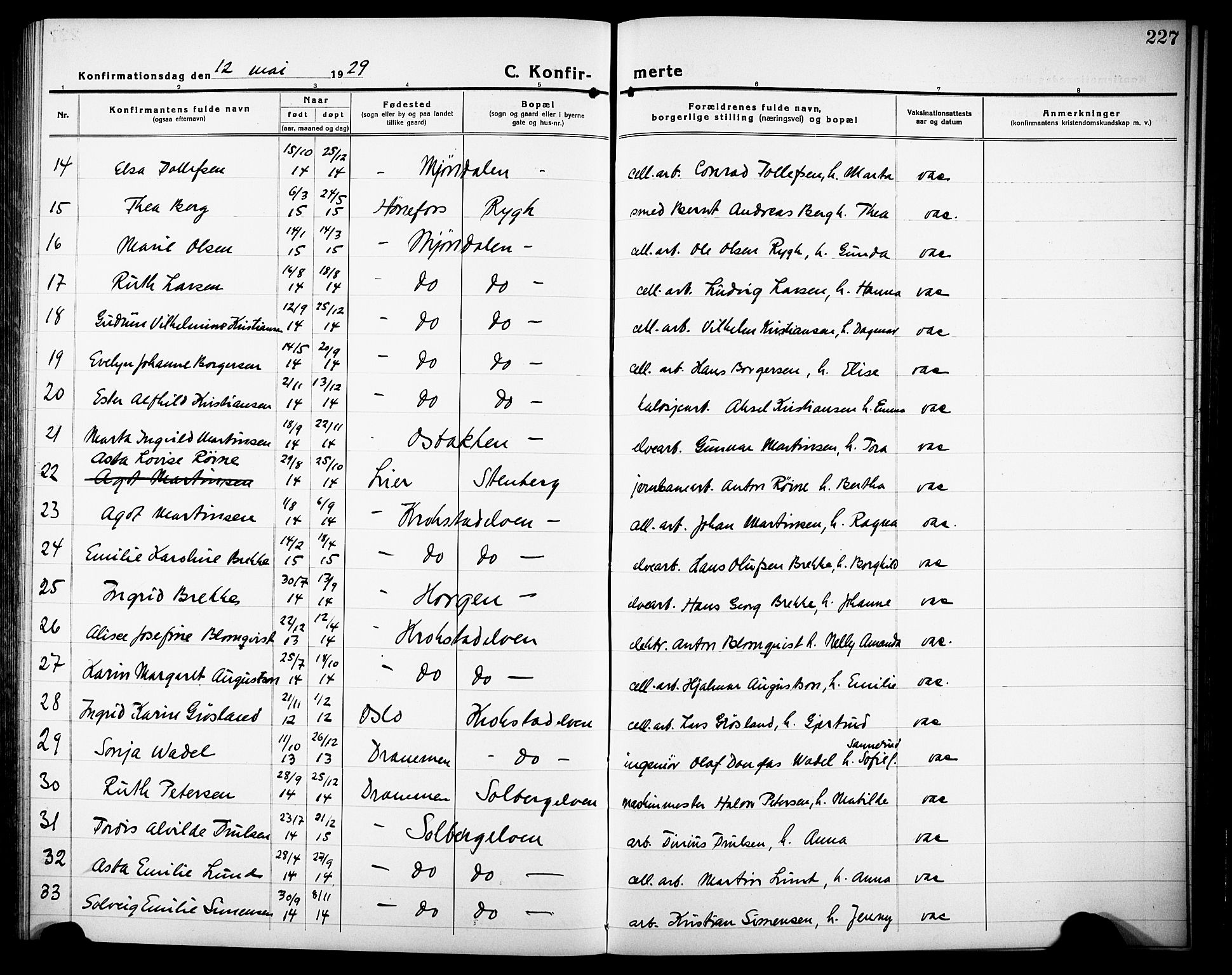 Nedre Eiker kirkebøker, AV/SAKO-A-612/G/Ga/L0006: Parish register (copy) no. 6, 1922-1933, p. 227