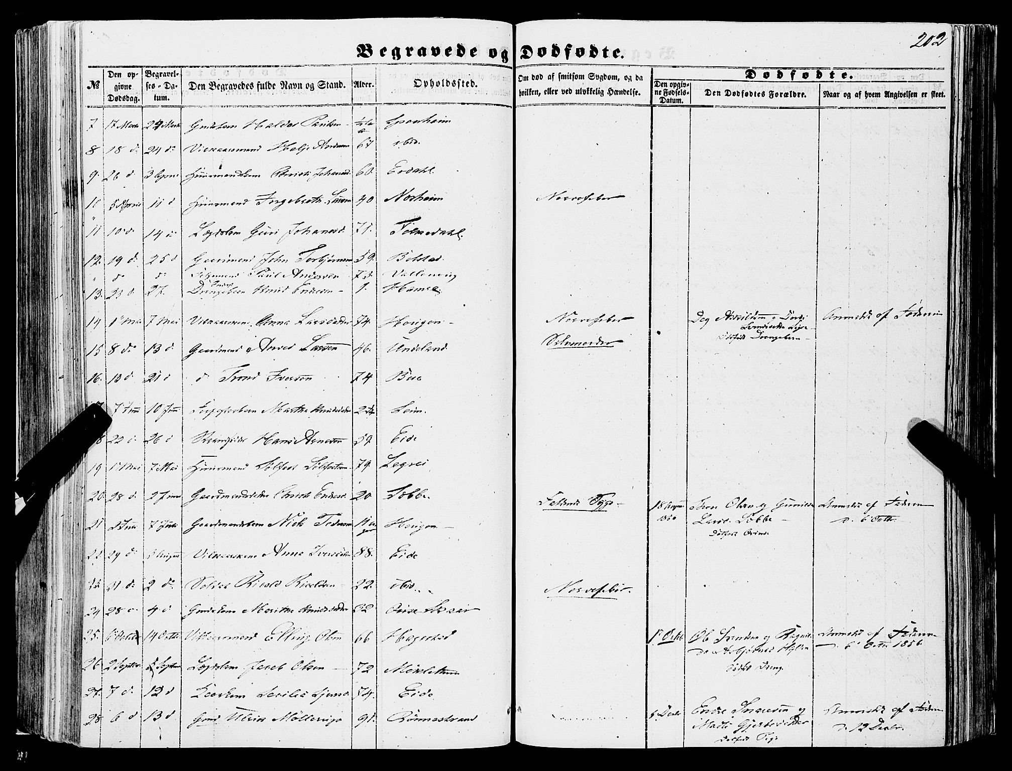Ulvik sokneprestembete, SAB/A-78801/H/Haa: Parish register (official) no. A 13, 1853-1863, p. 202