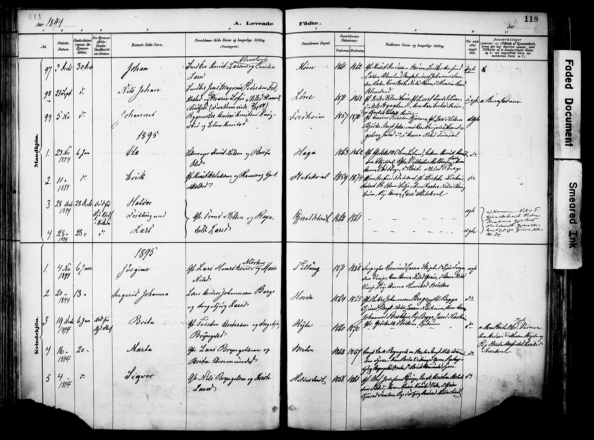Voss sokneprestembete, SAB/A-79001/H/Haa: Parish register (official) no. A 21, 1887-1903, p. 118