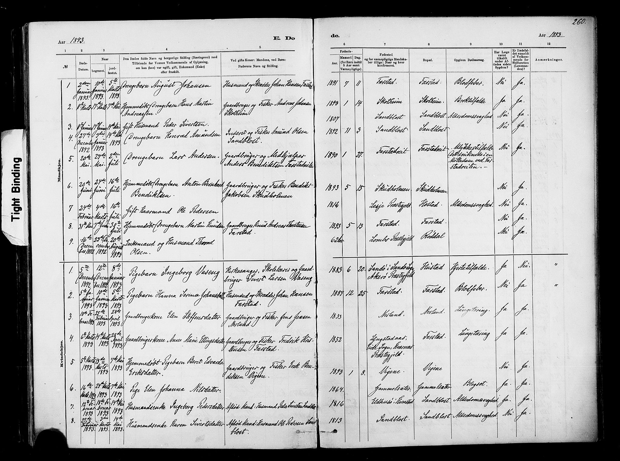 Ministerialprotokoller, klokkerbøker og fødselsregistre - Møre og Romsdal, AV/SAT-A-1454/567/L0778: Parish register (official) no. 567A01, 1881-1903, p. 260