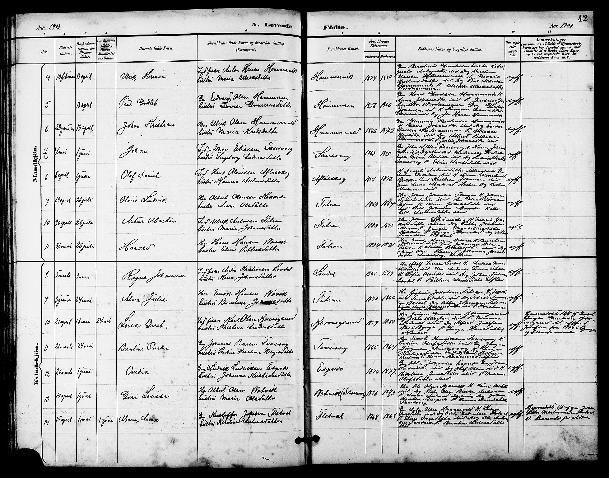 Ministerialprotokoller, klokkerbøker og fødselsregistre - Sør-Trøndelag, SAT/A-1456/641/L0598: Parish register (copy) no. 641C02, 1893-1910, p. 42